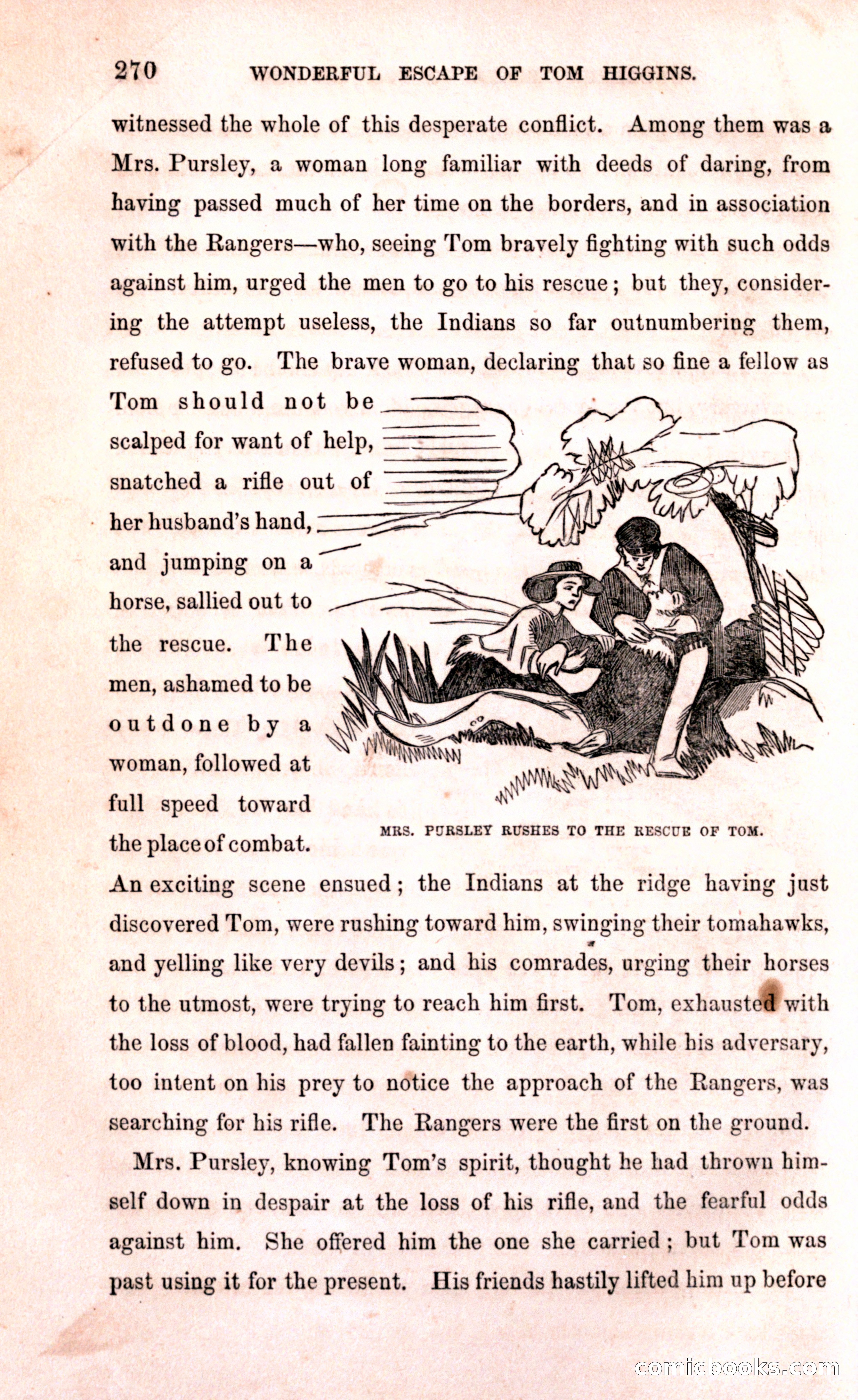 Thrilling Adventures Among the Early Settlers — page 276 of 394