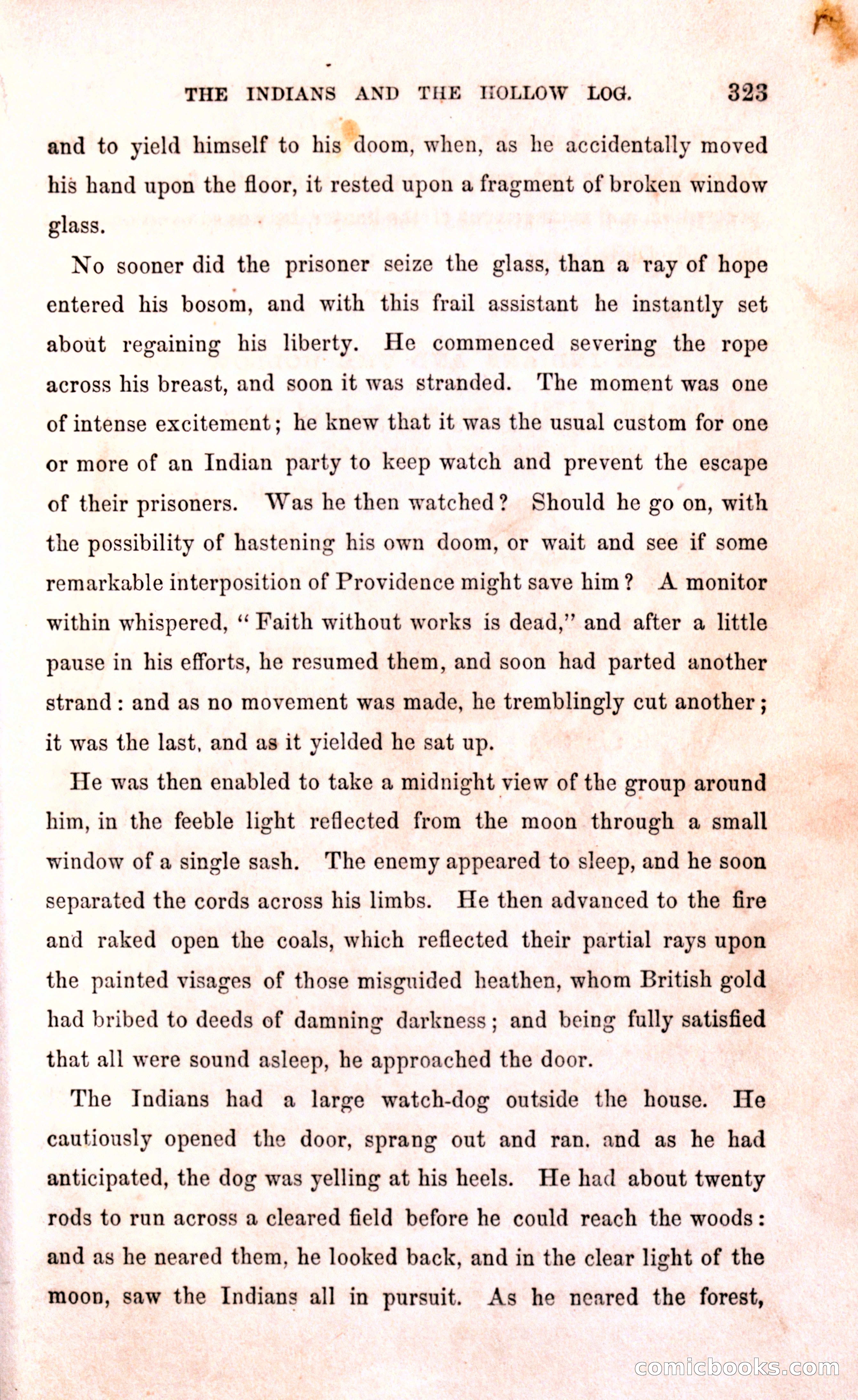 Thrilling Adventures Among the Early Settlers — page 329 of 394
