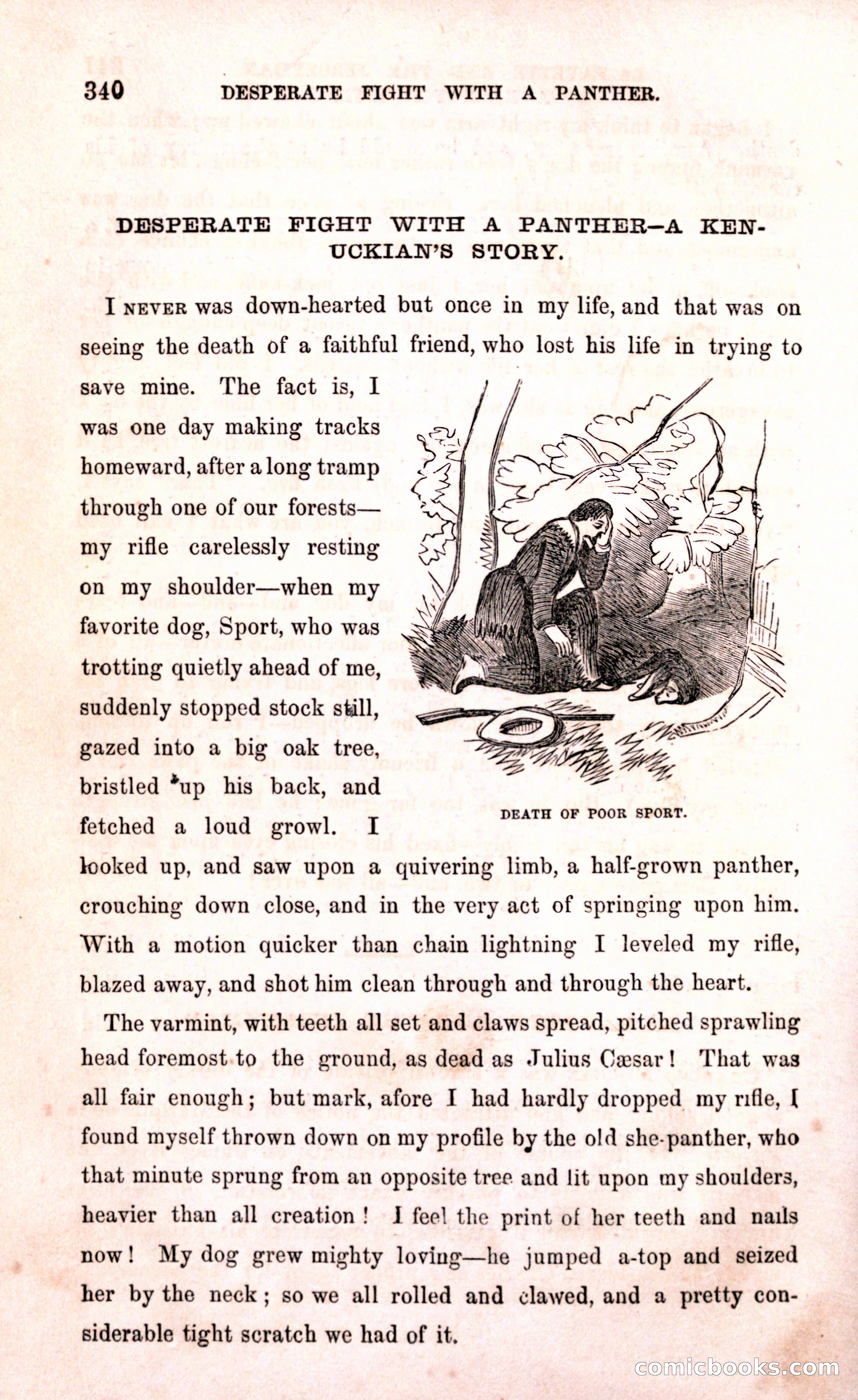 Thrilling Adventures Among the Early Settlers — page 346 of 394