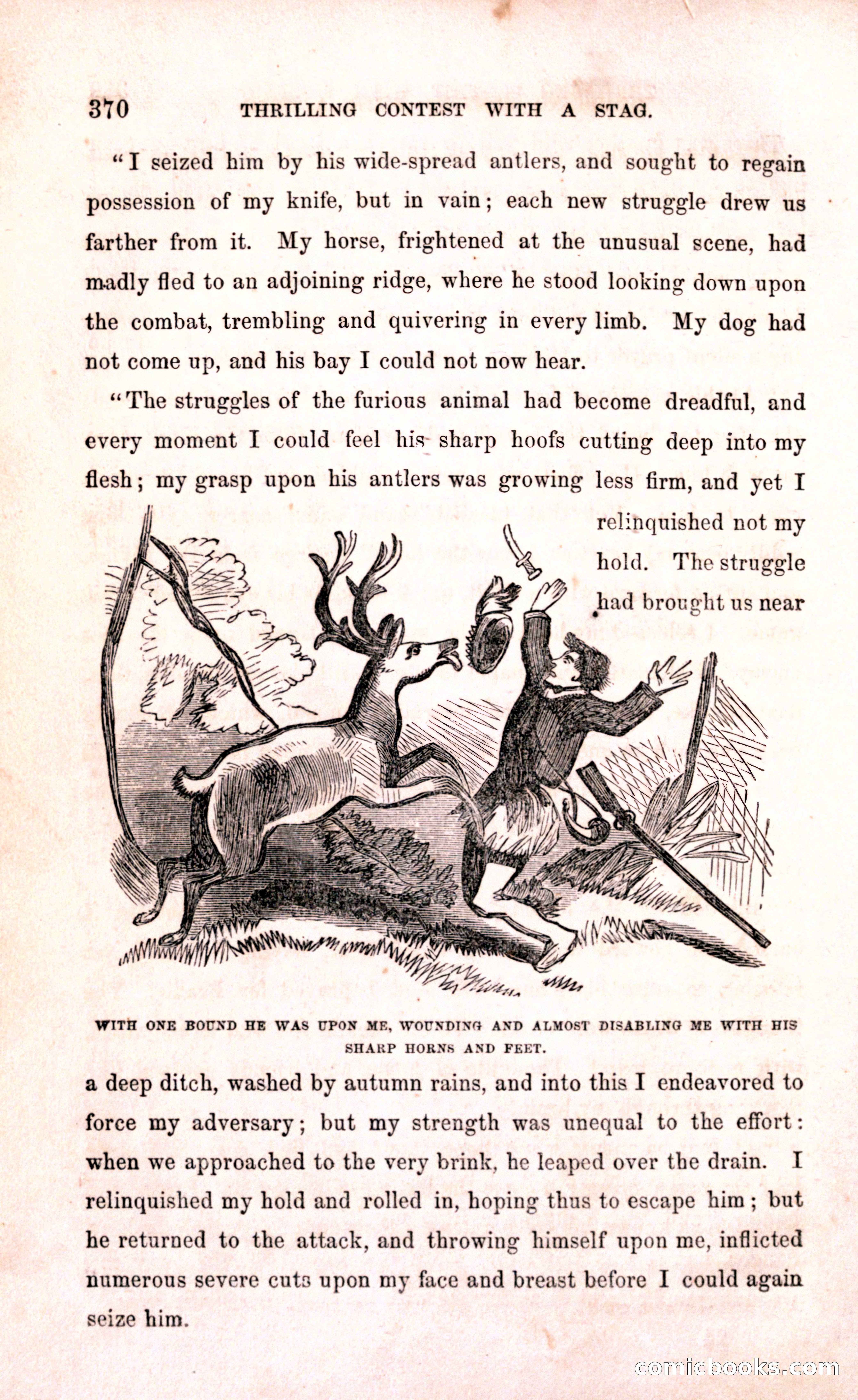 Thrilling Adventures Among the Early Settlers — page 376 of 394