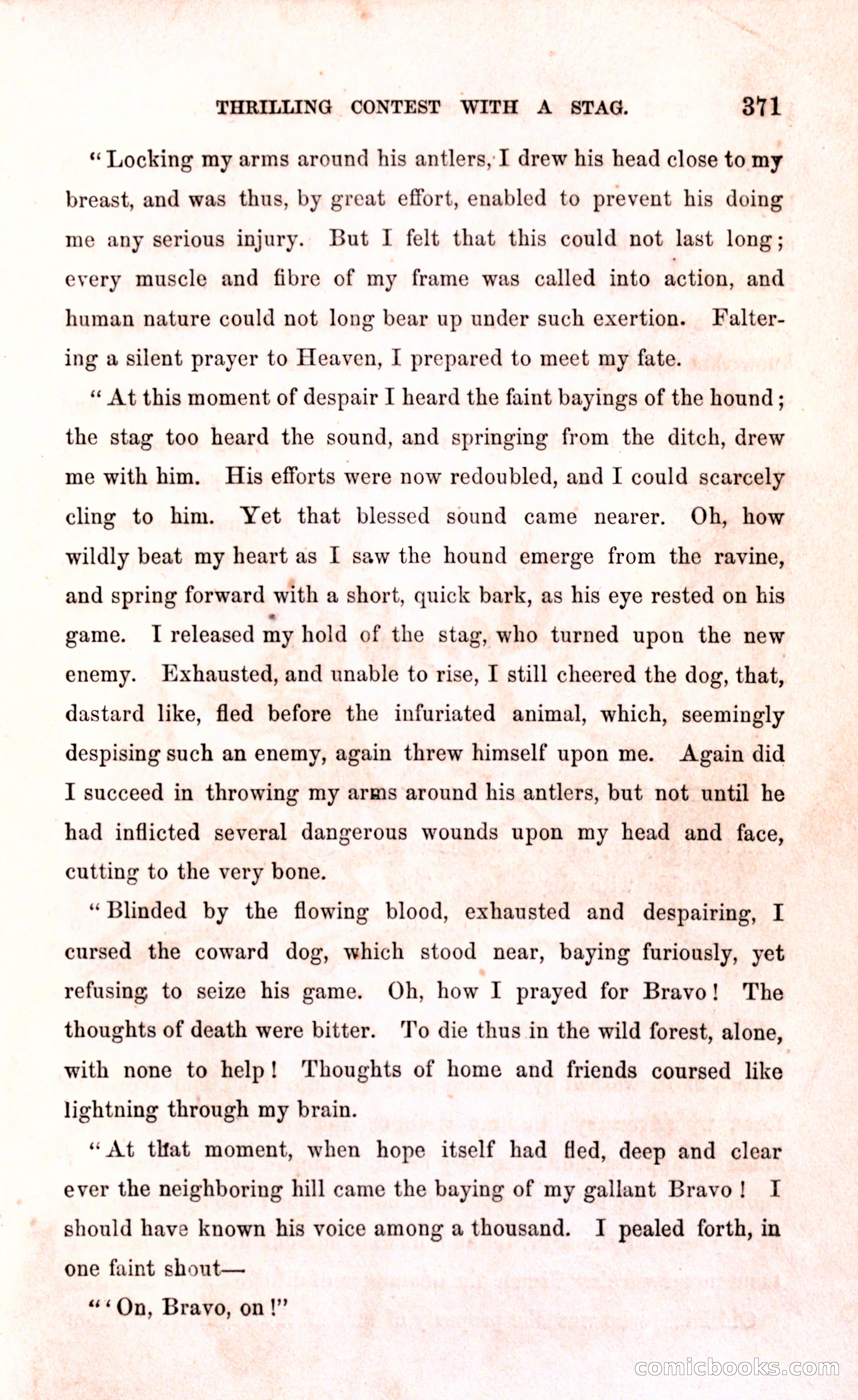 Thrilling Adventures Among the Early Settlers — page 377 of 394