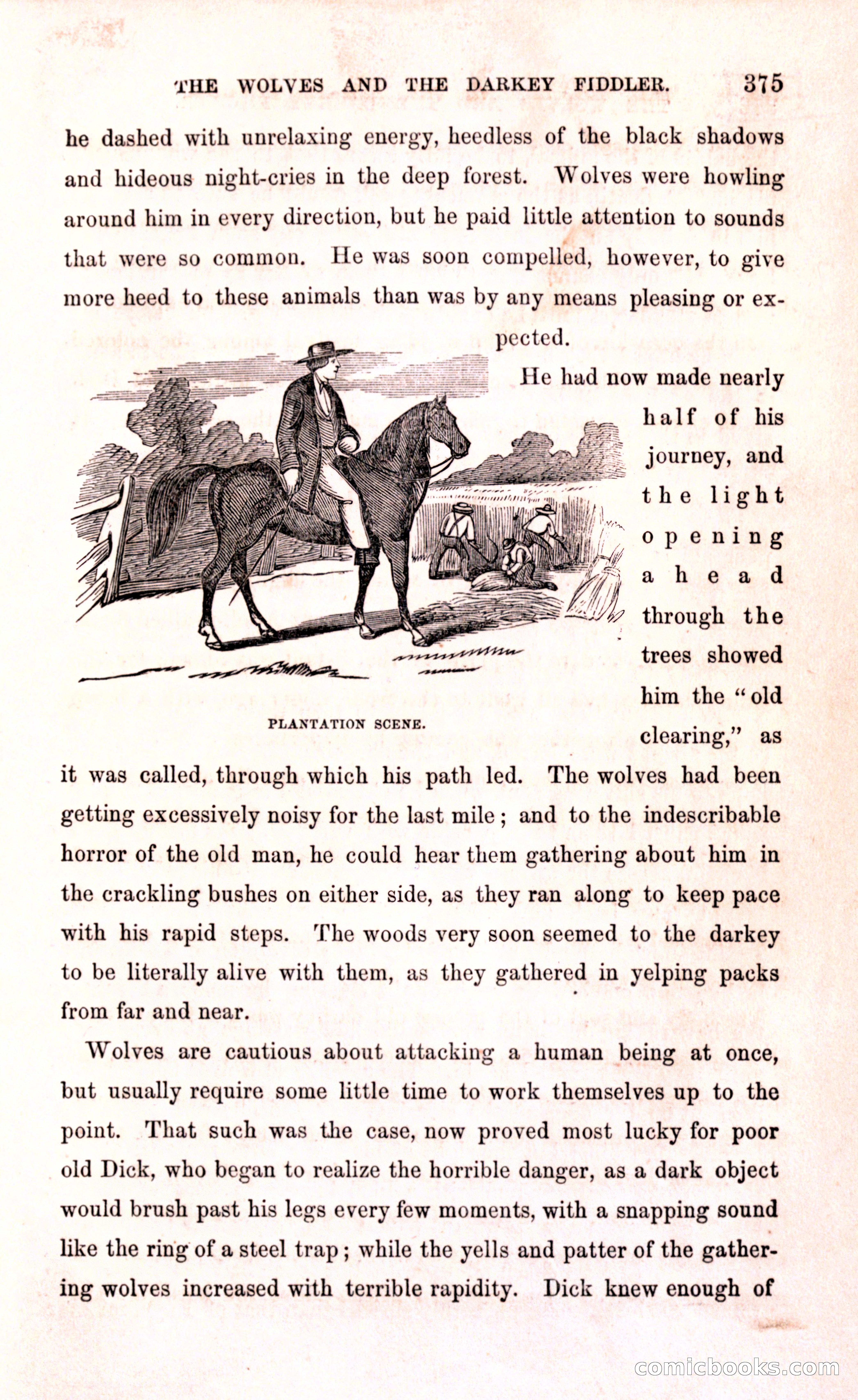 Thrilling Adventures Among the Early Settlers — page 381 of 394