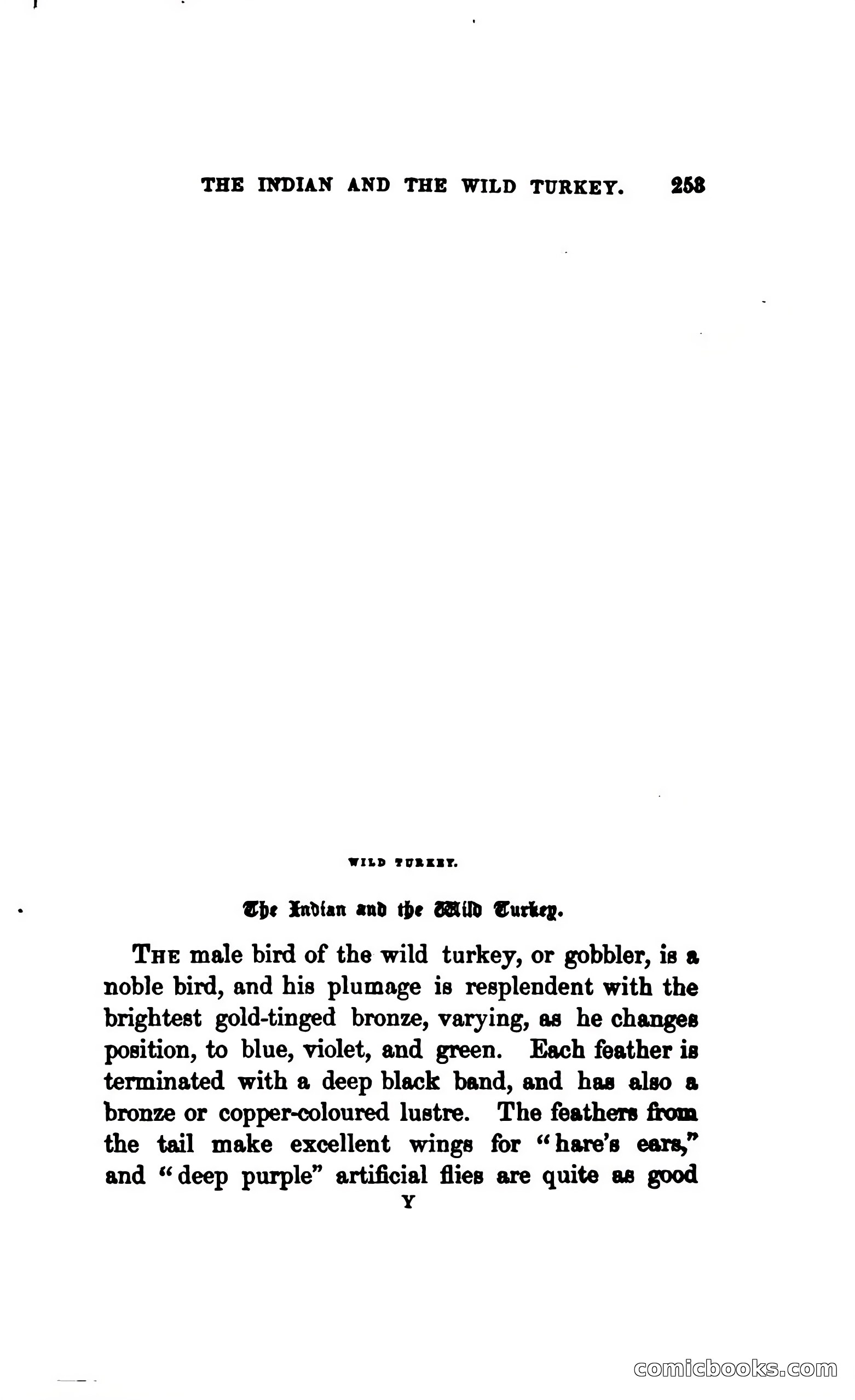 Thrilling Adventures Among the Indians — page 262 of 393