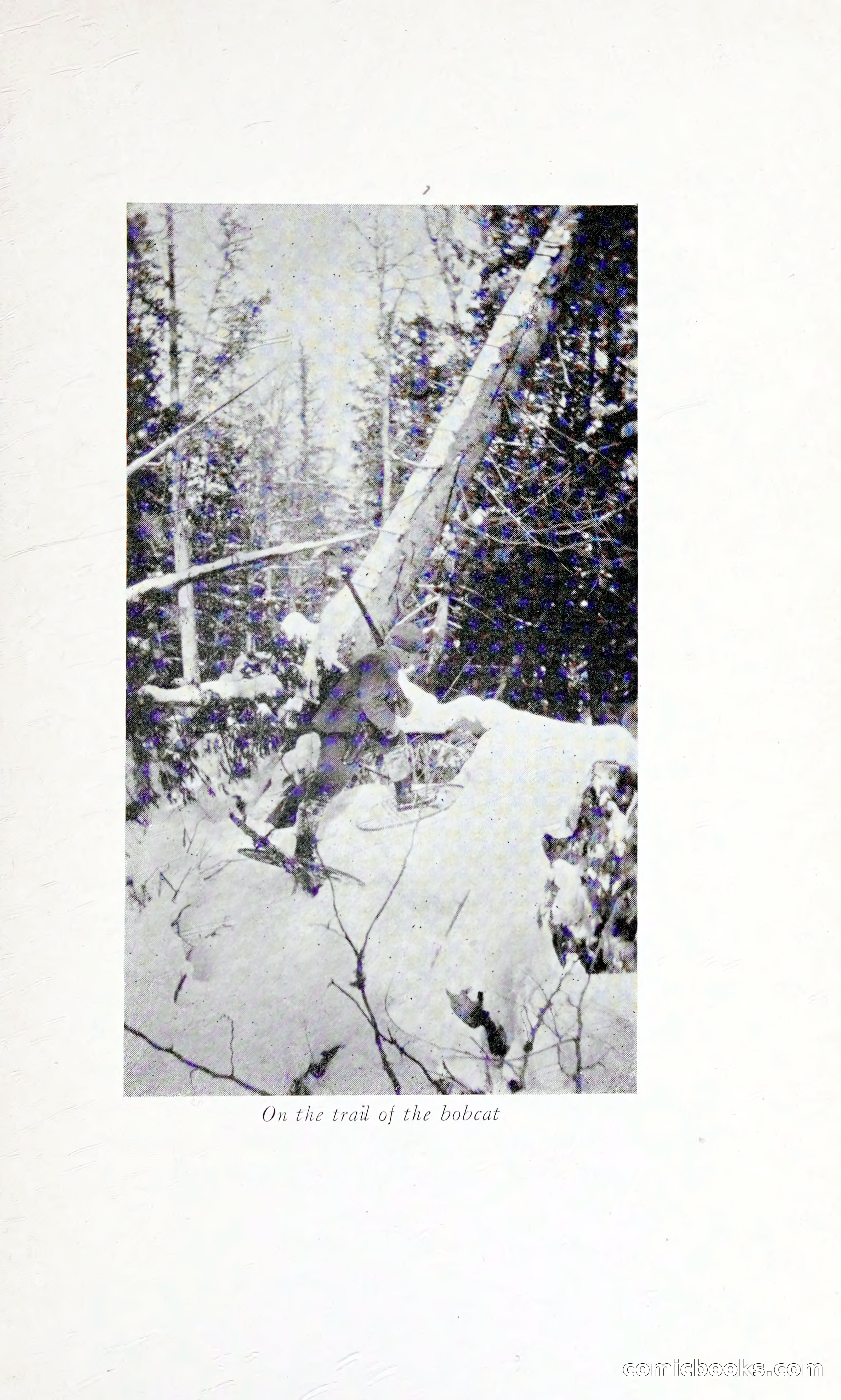 Thrilling Adventures: Guiding, Trapping, Big Game Hunting — page 26 of 287