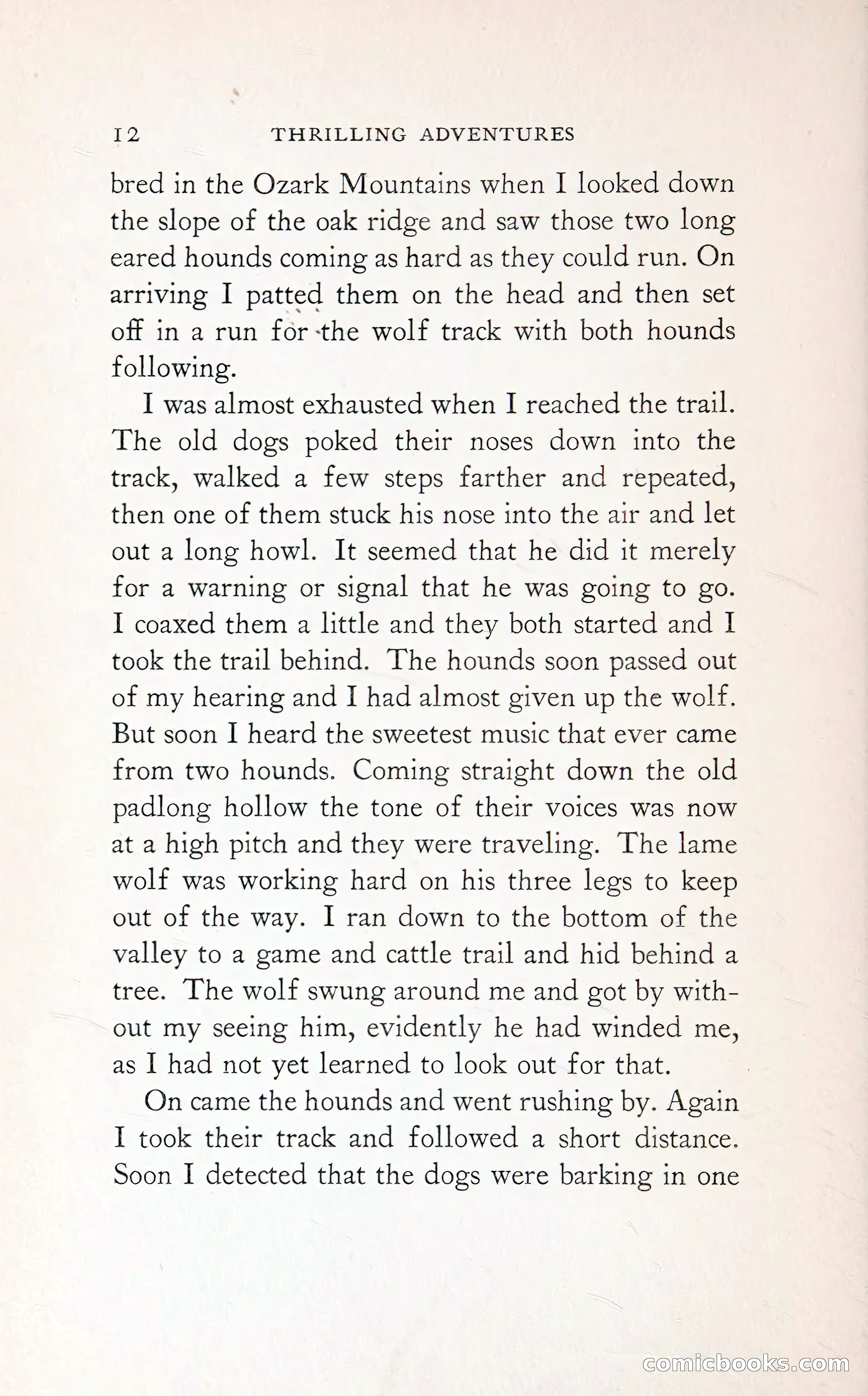 Thrilling Adventures: Guiding, Trapping, Big Game Hunting — page 35 of 287