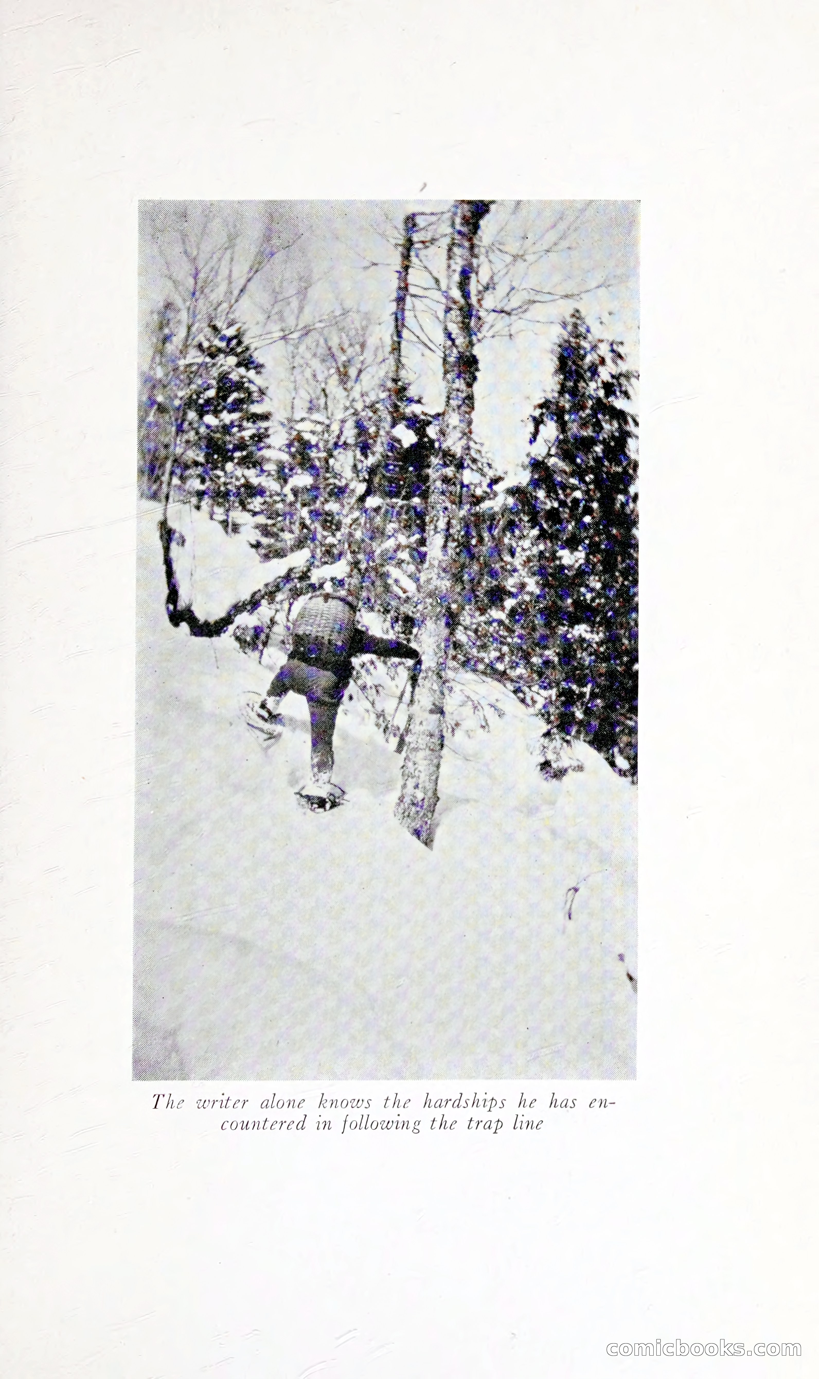 Thrilling Adventures: Guiding, Trapping, Big Game Hunting — page 50 of 287