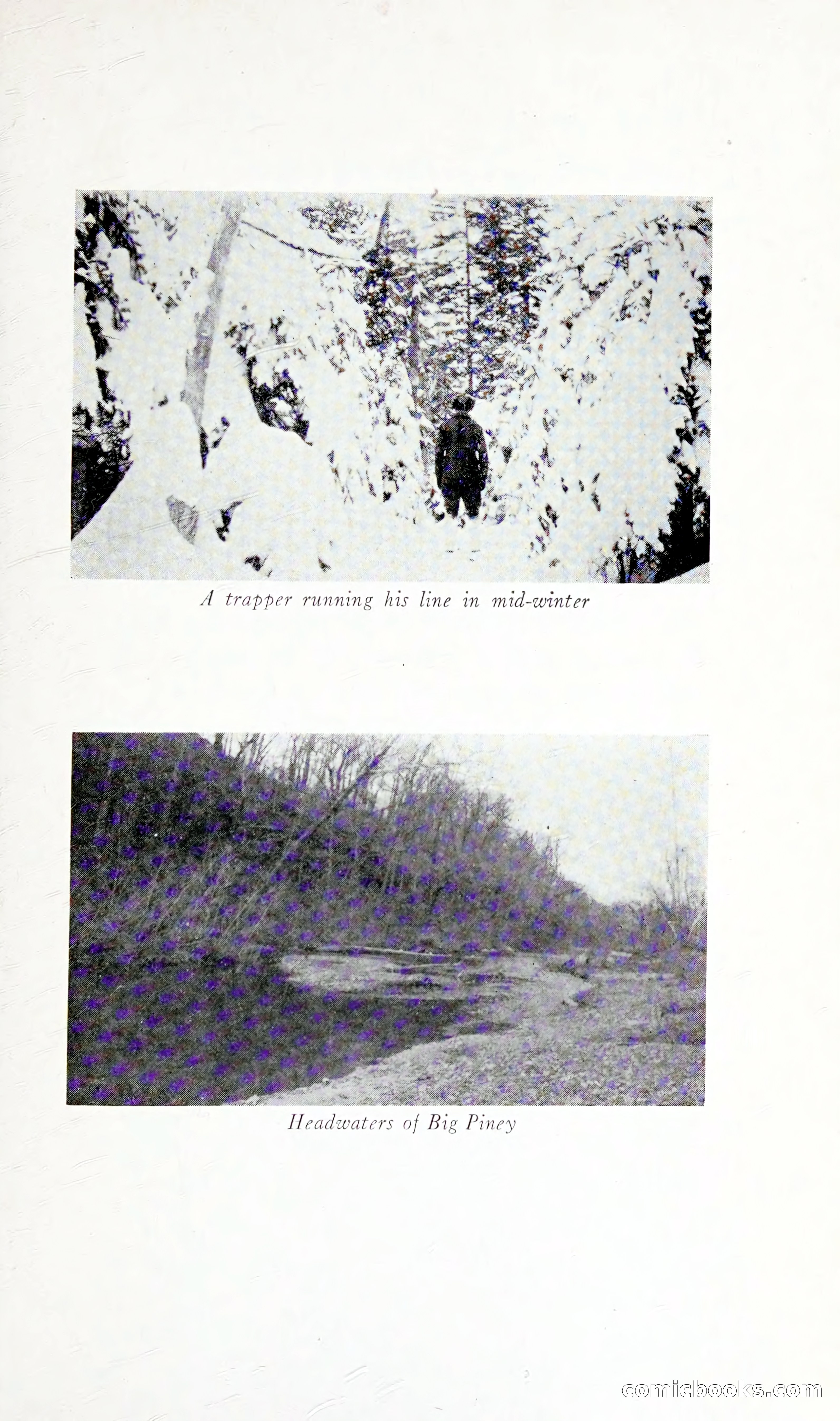 Thrilling Adventures: Guiding, Trapping, Big Game Hunting — page 56 of 287