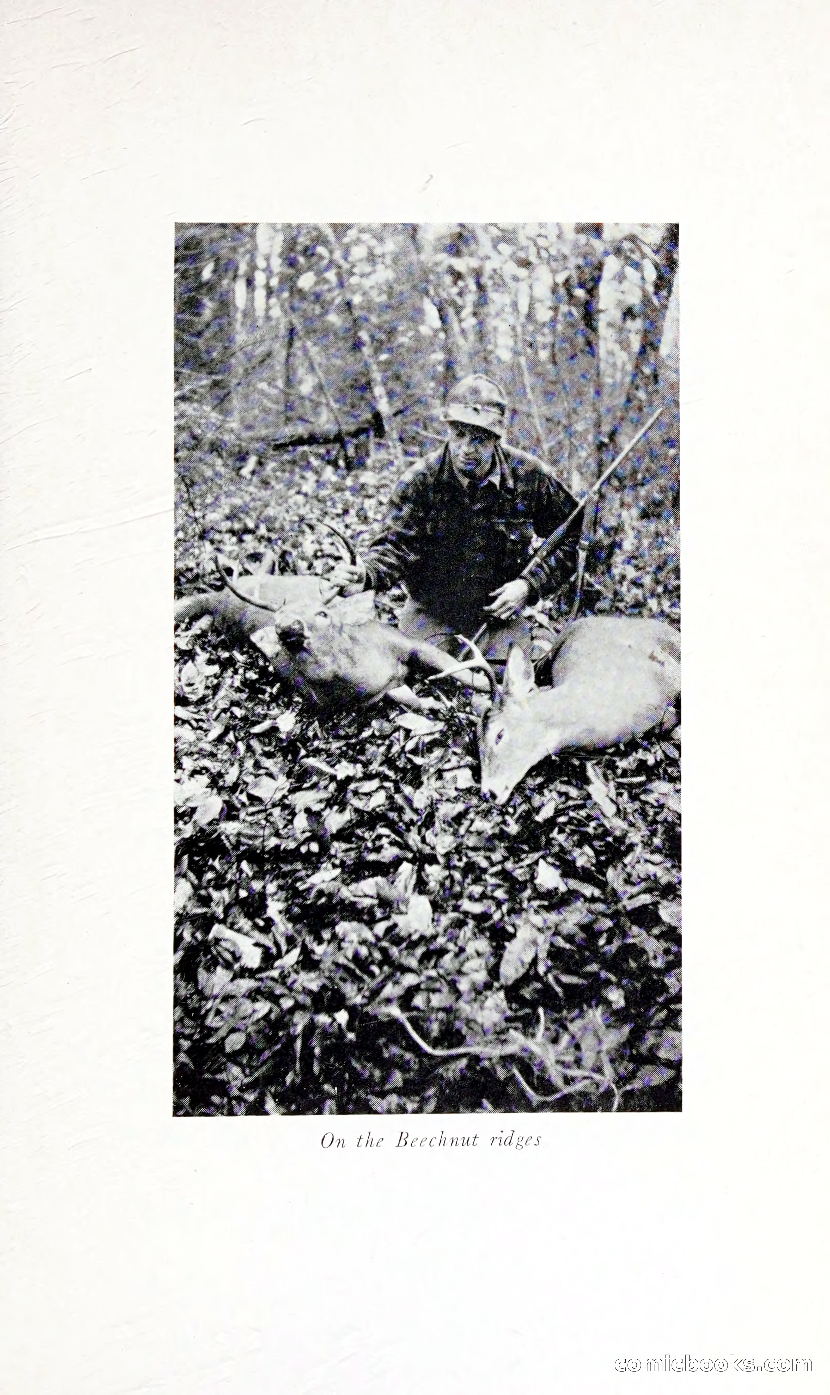 Thrilling Adventures: Guiding, Trapping, Big Game Hunting — page 62 of 287