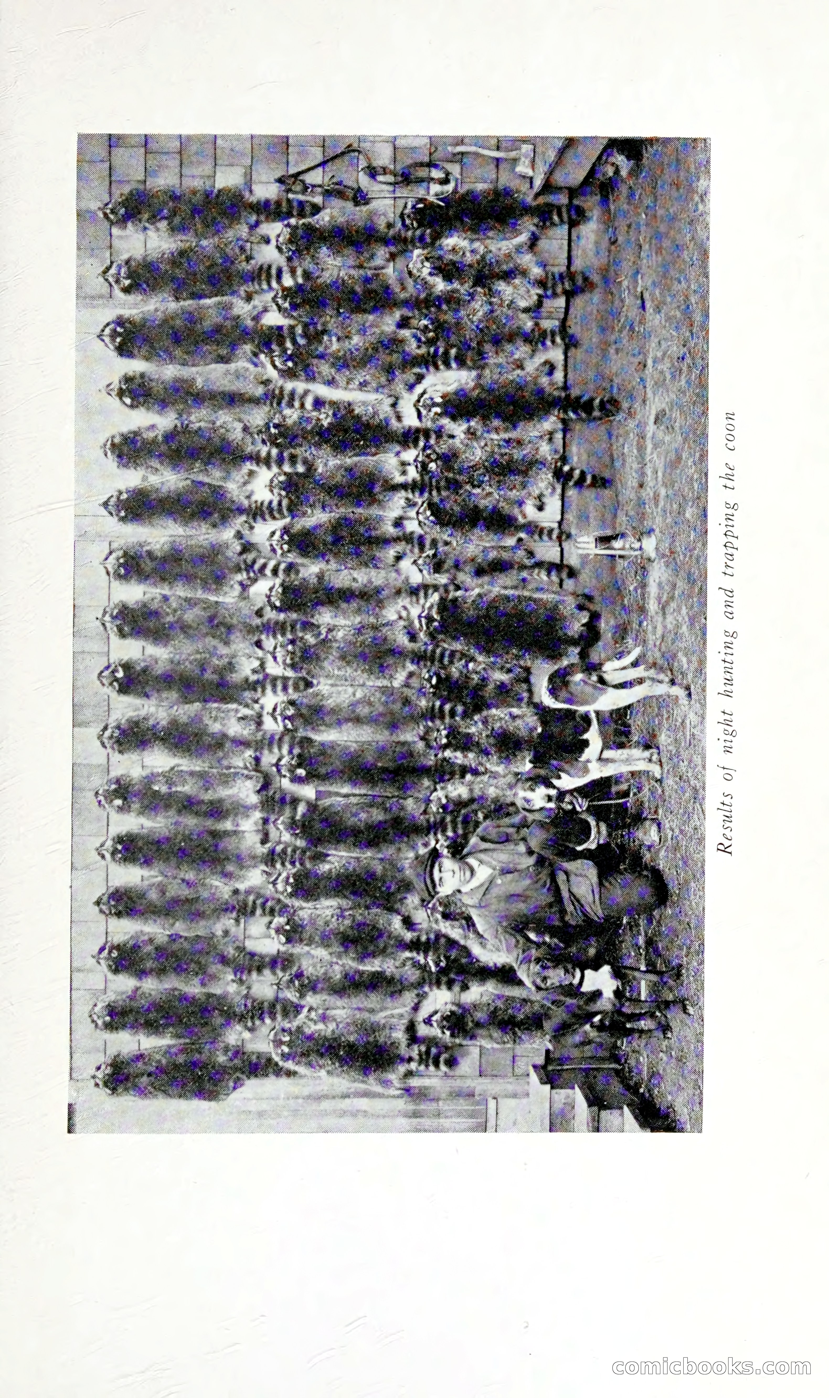 Thrilling Adventures: Guiding, Trapping, Big Game Hunting — page 86 of 287
