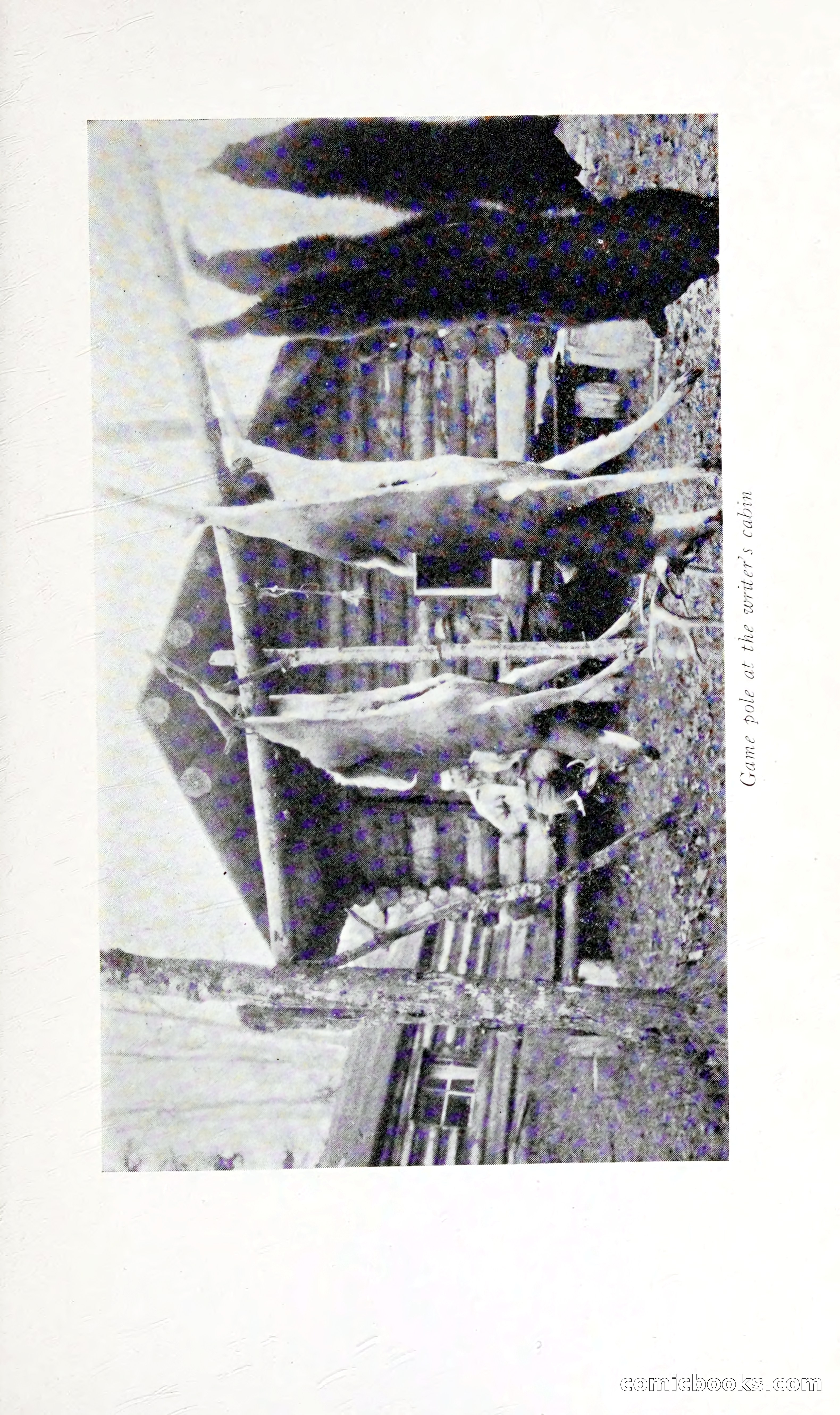 Thrilling Adventures: Guiding, Trapping, Big Game Hunting — page 98 of 287