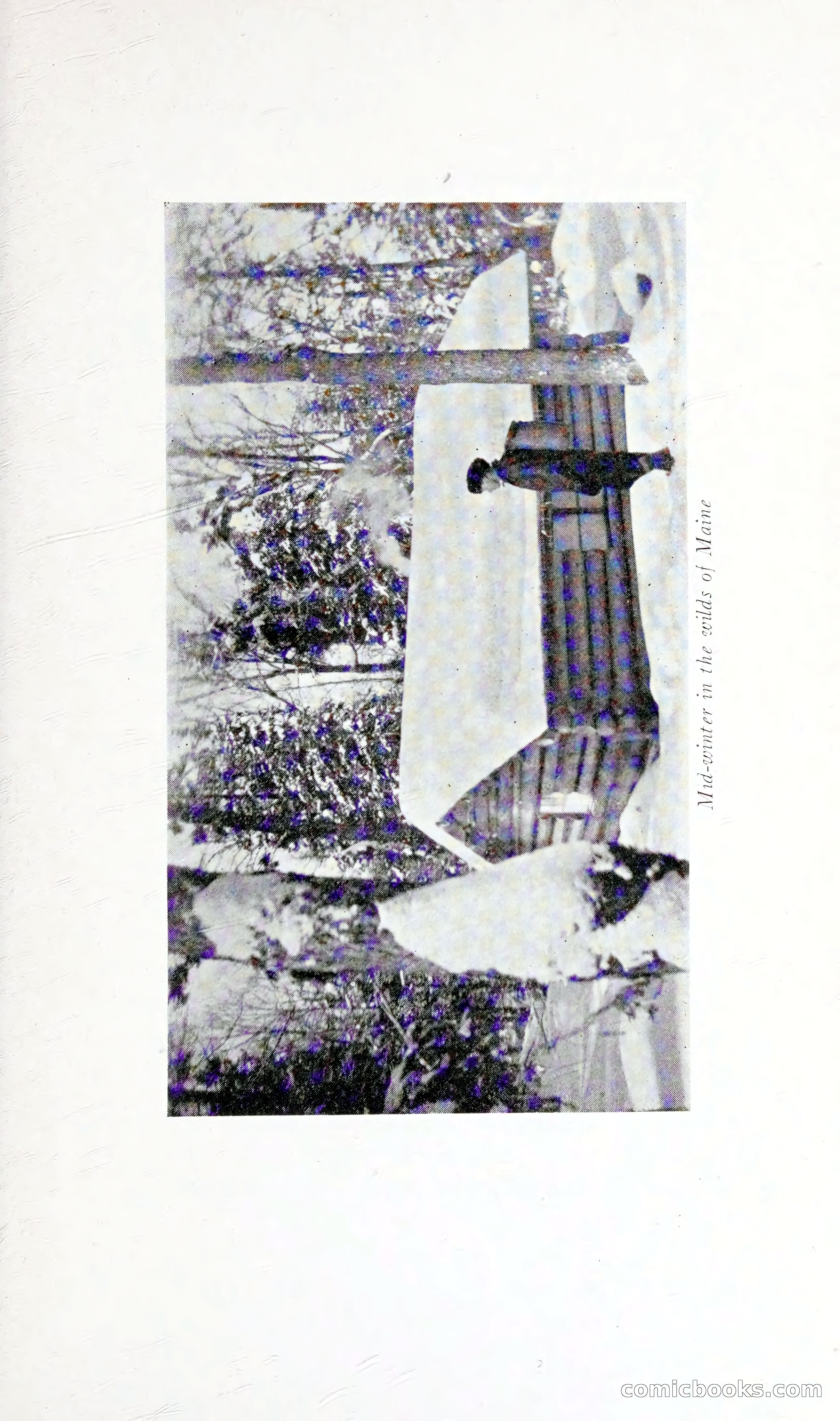 Thrilling Adventures: Guiding, Trapping, Big Game Hunting — page 110 of 287