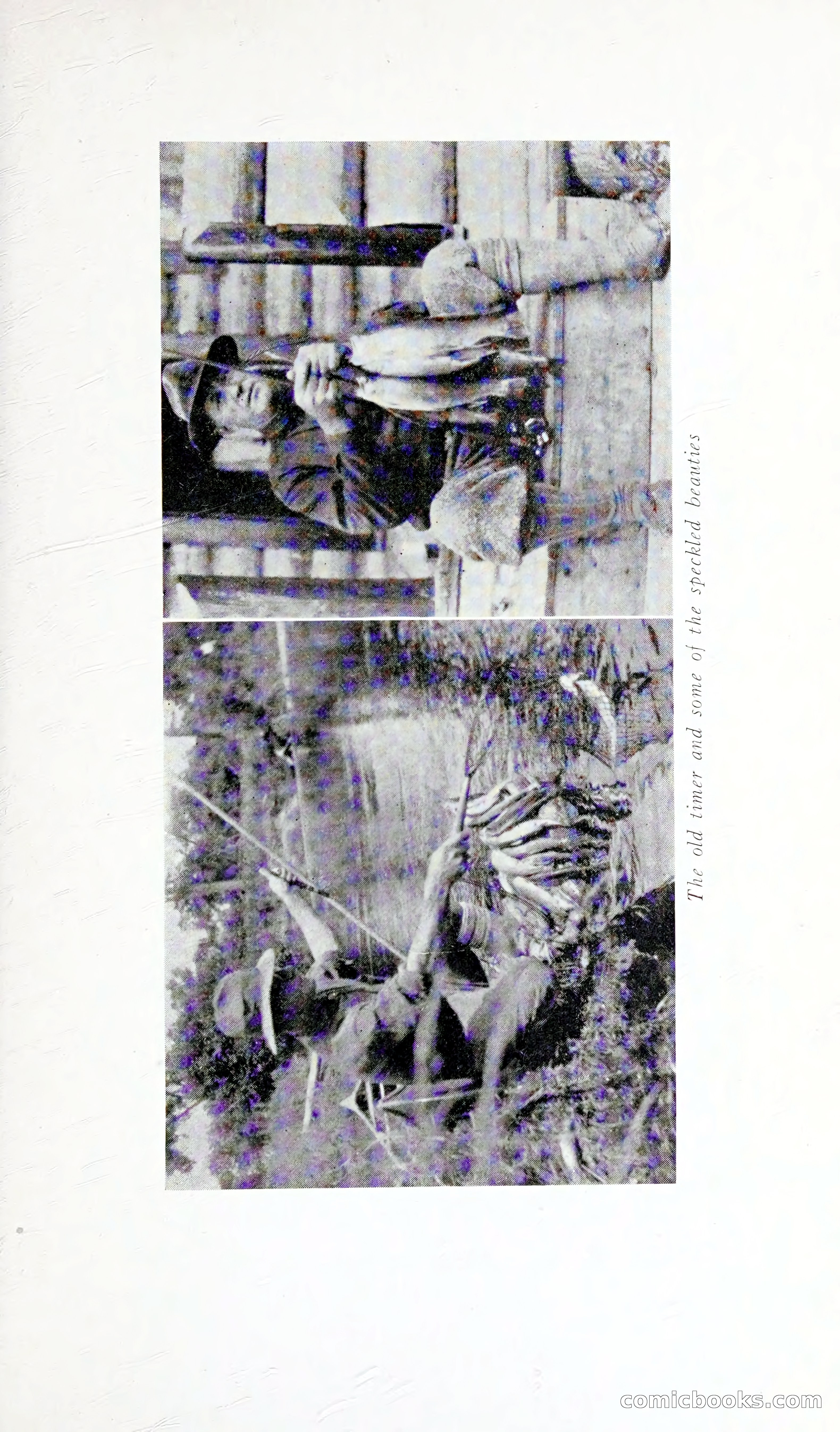Thrilling Adventures: Guiding, Trapping, Big Game Hunting — page 114 of 287