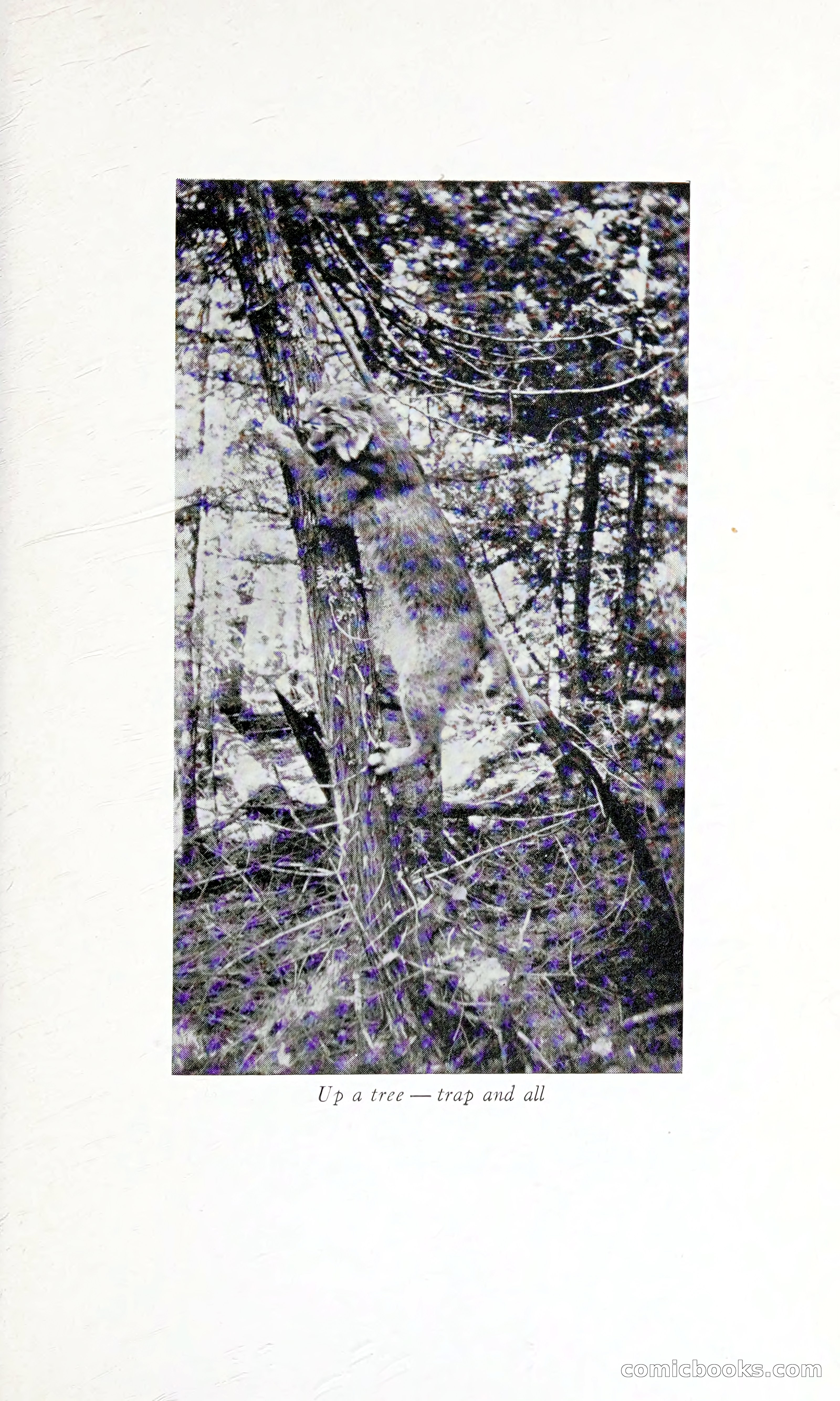 Thrilling Adventures: Guiding, Trapping, Big Game Hunting — page 124 of 287