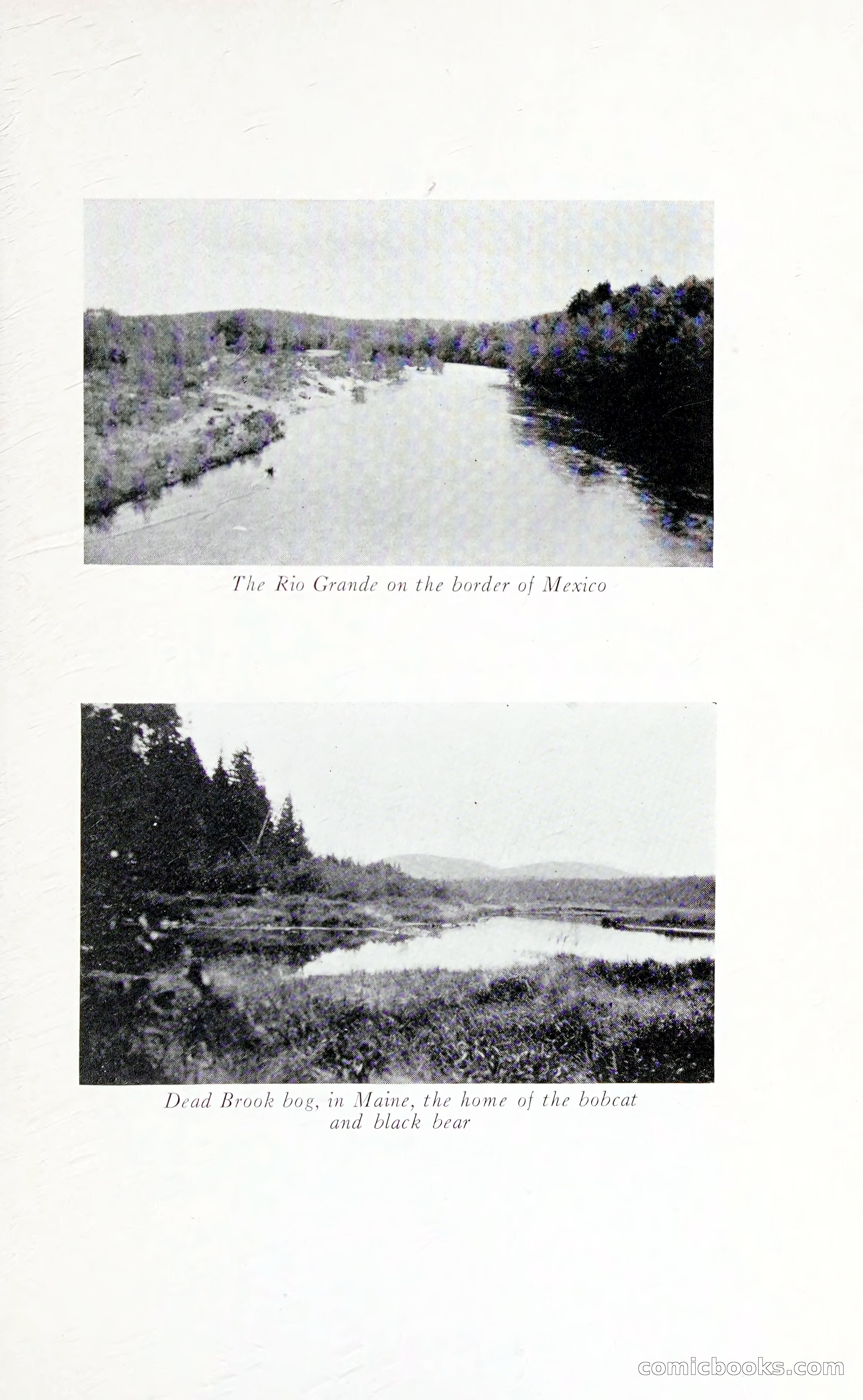 Thrilling Adventures: Guiding, Trapping, Big Game Hunting — page 136 of 287