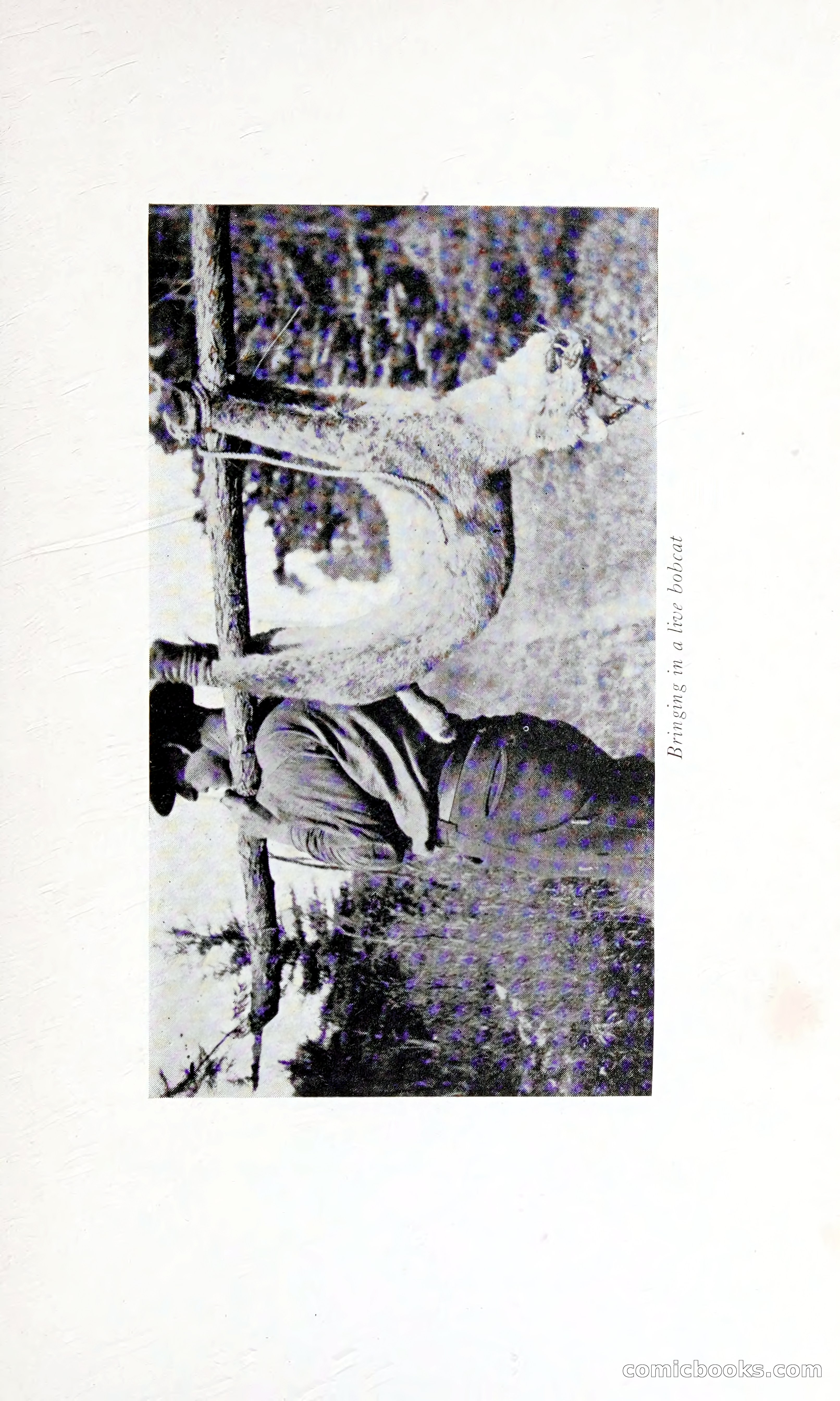 Thrilling Adventures: Guiding, Trapping, Big Game Hunting — page 144 of 287