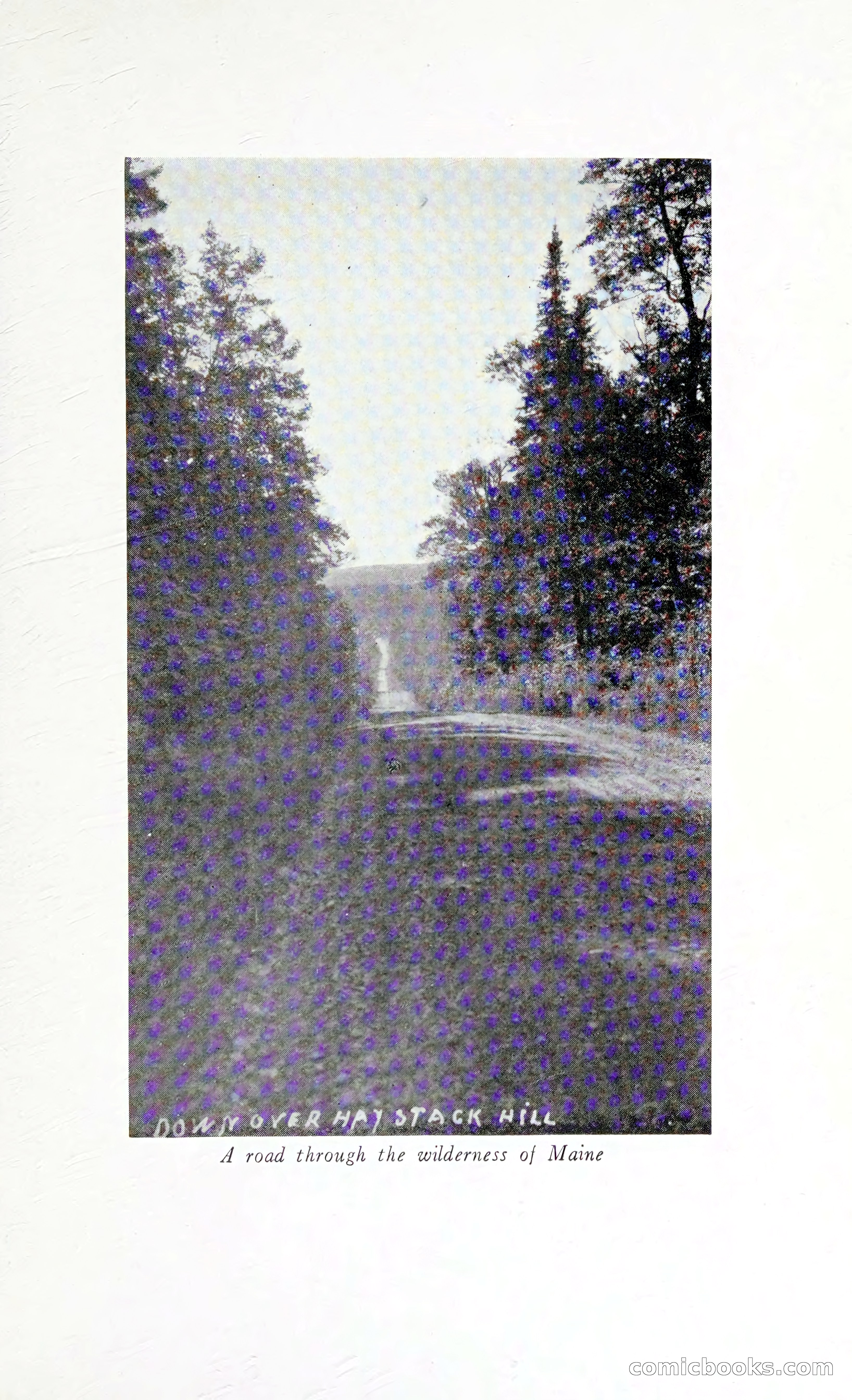 Thrilling Adventures: Guiding, Trapping, Big Game Hunting — page 160 of 287