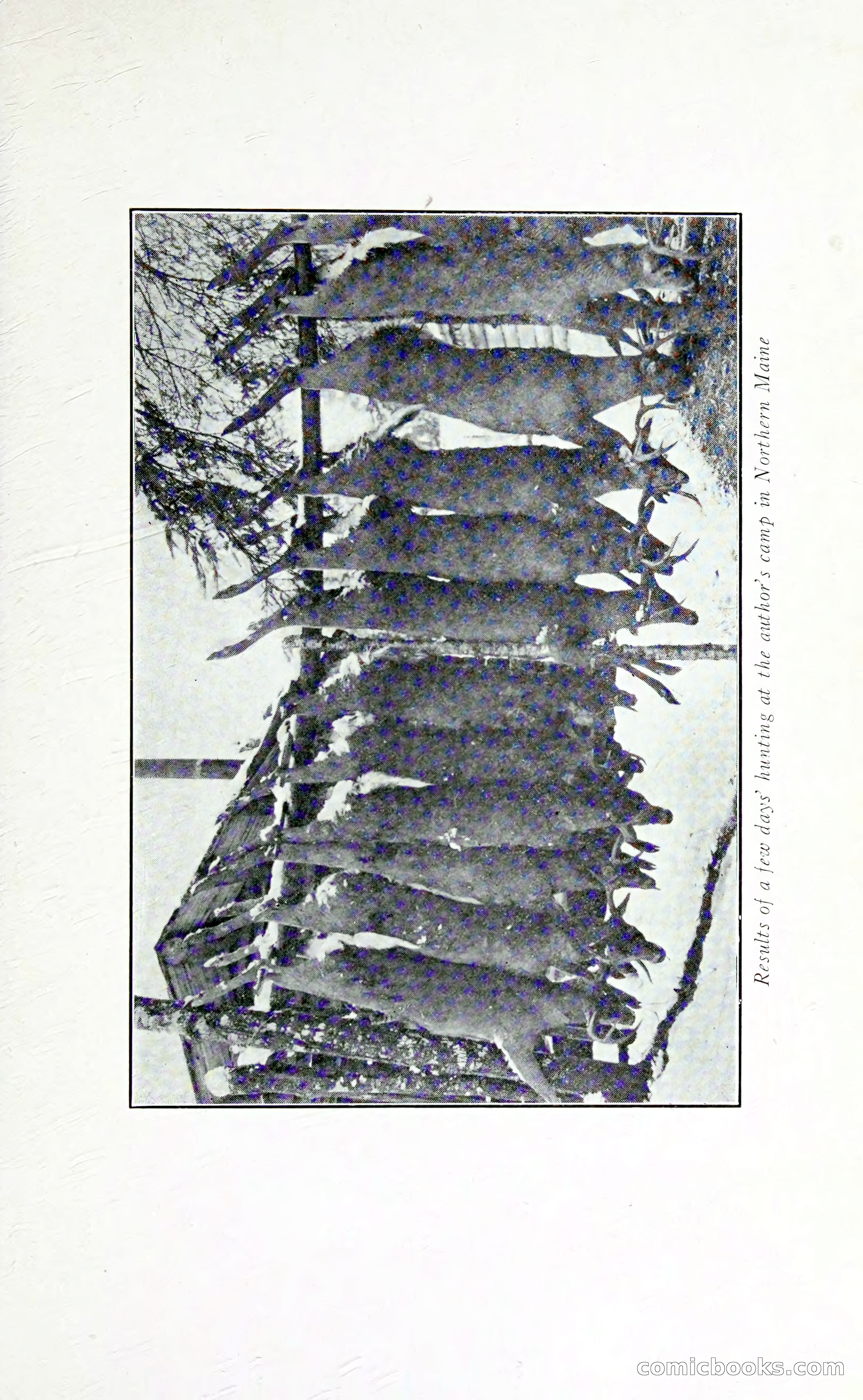 Thrilling Adventures: Guiding, Trapping, Big Game Hunting — page 164 of 287