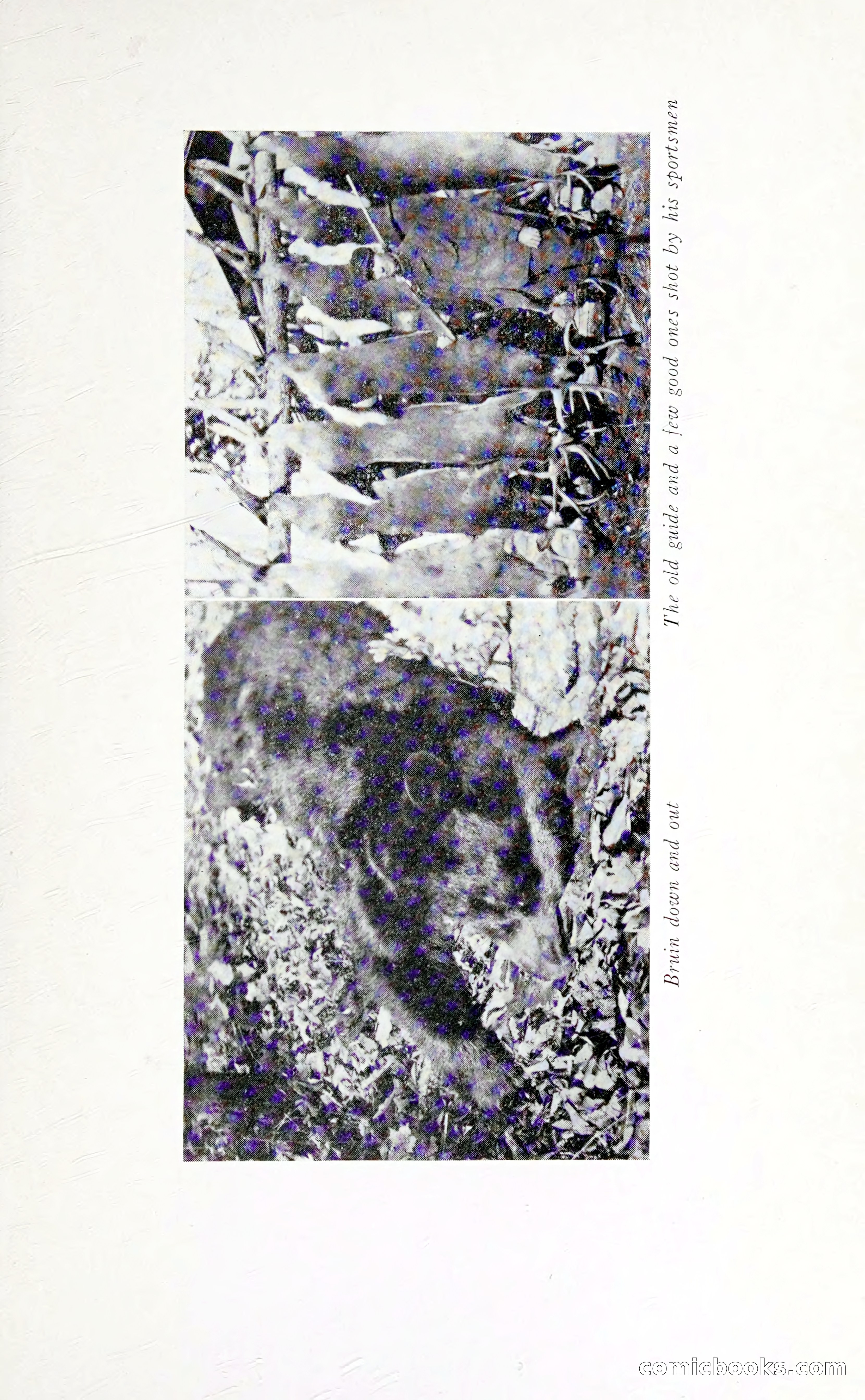 Thrilling Adventures: Guiding, Trapping, Big Game Hunting — page 168 of 287
