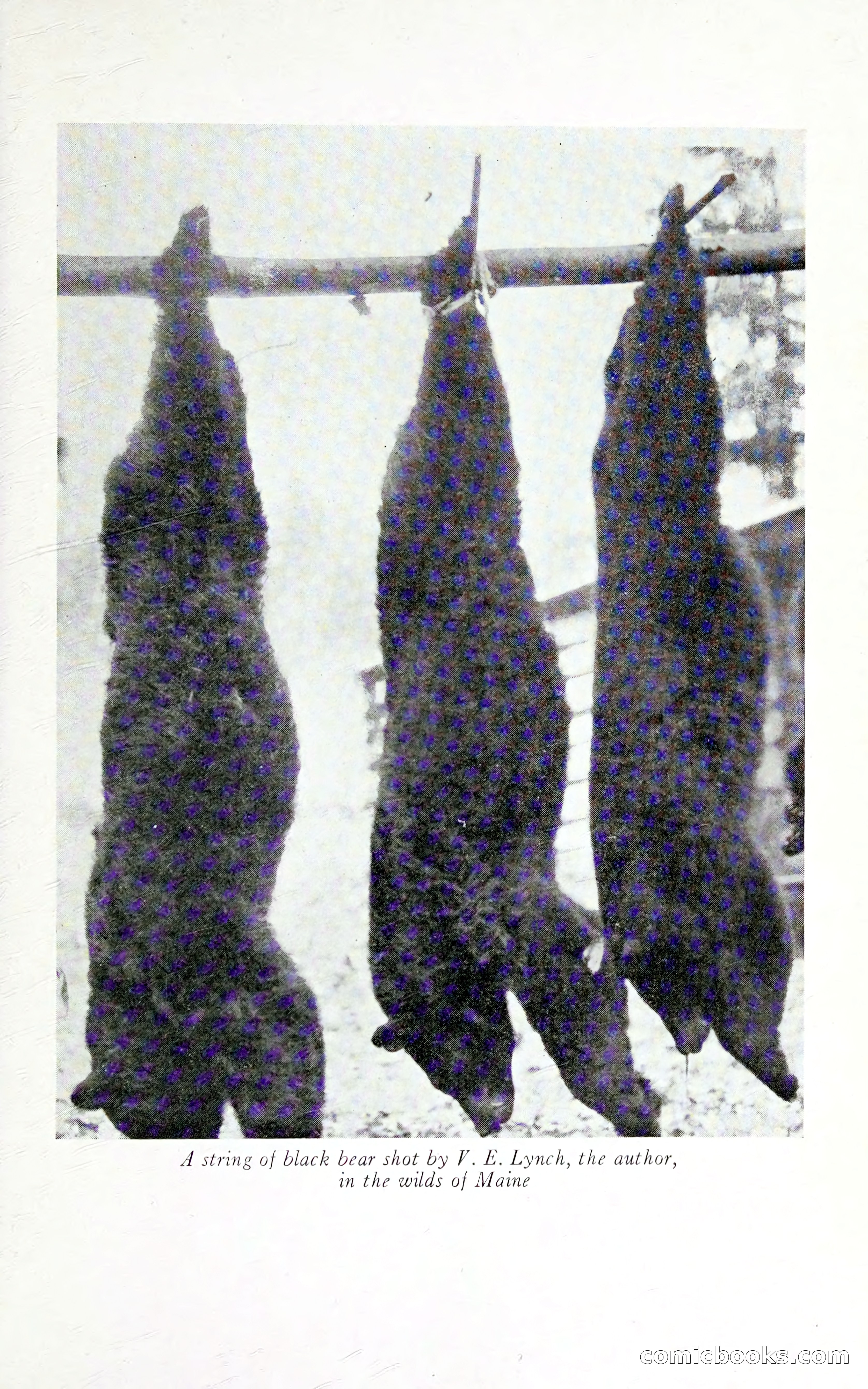 Thrilling Adventures: Guiding, Trapping, Big Game Hunting — page 172 of 287