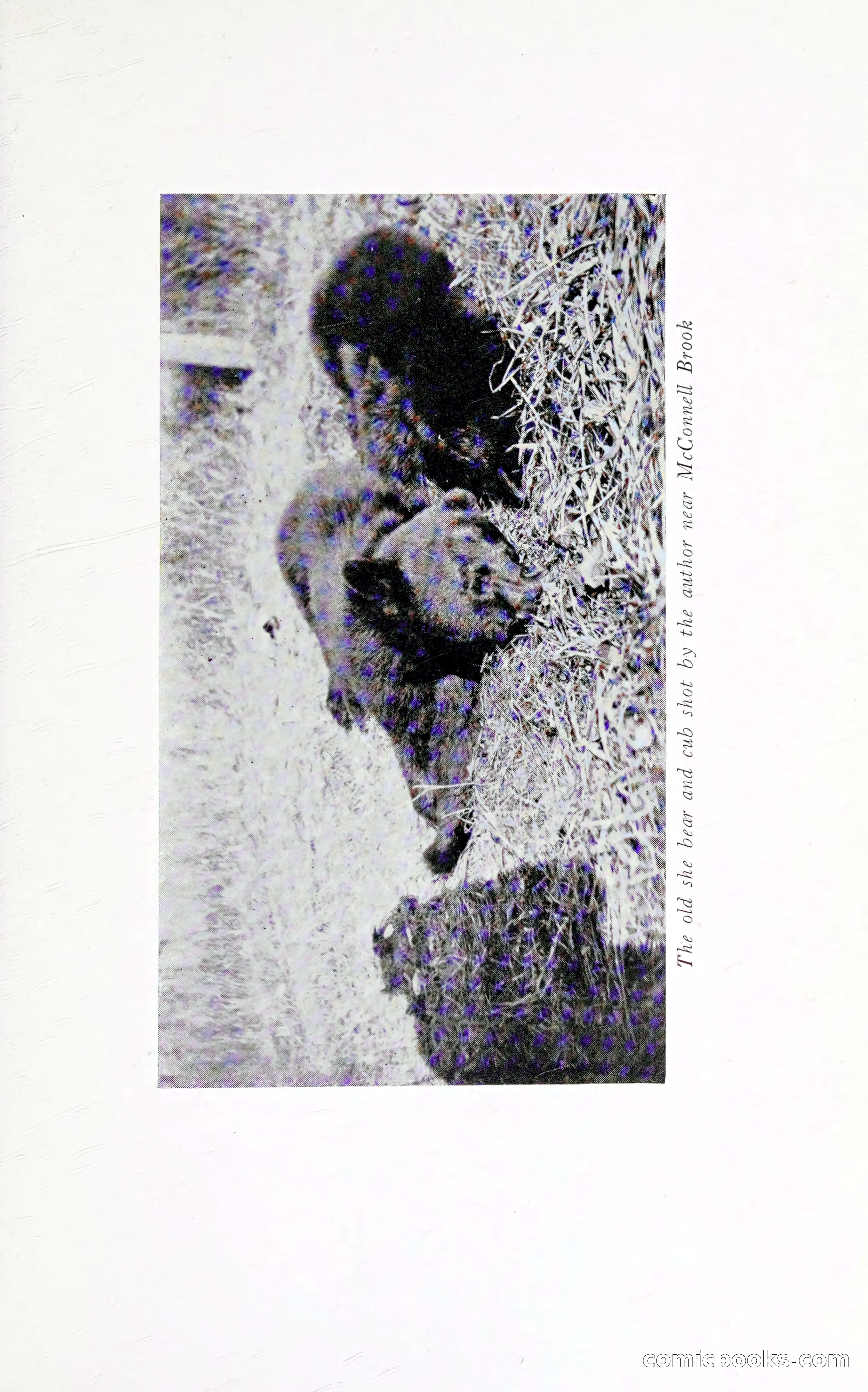 Thrilling Adventures: Guiding, Trapping, Big Game Hunting — page 176 of 287
