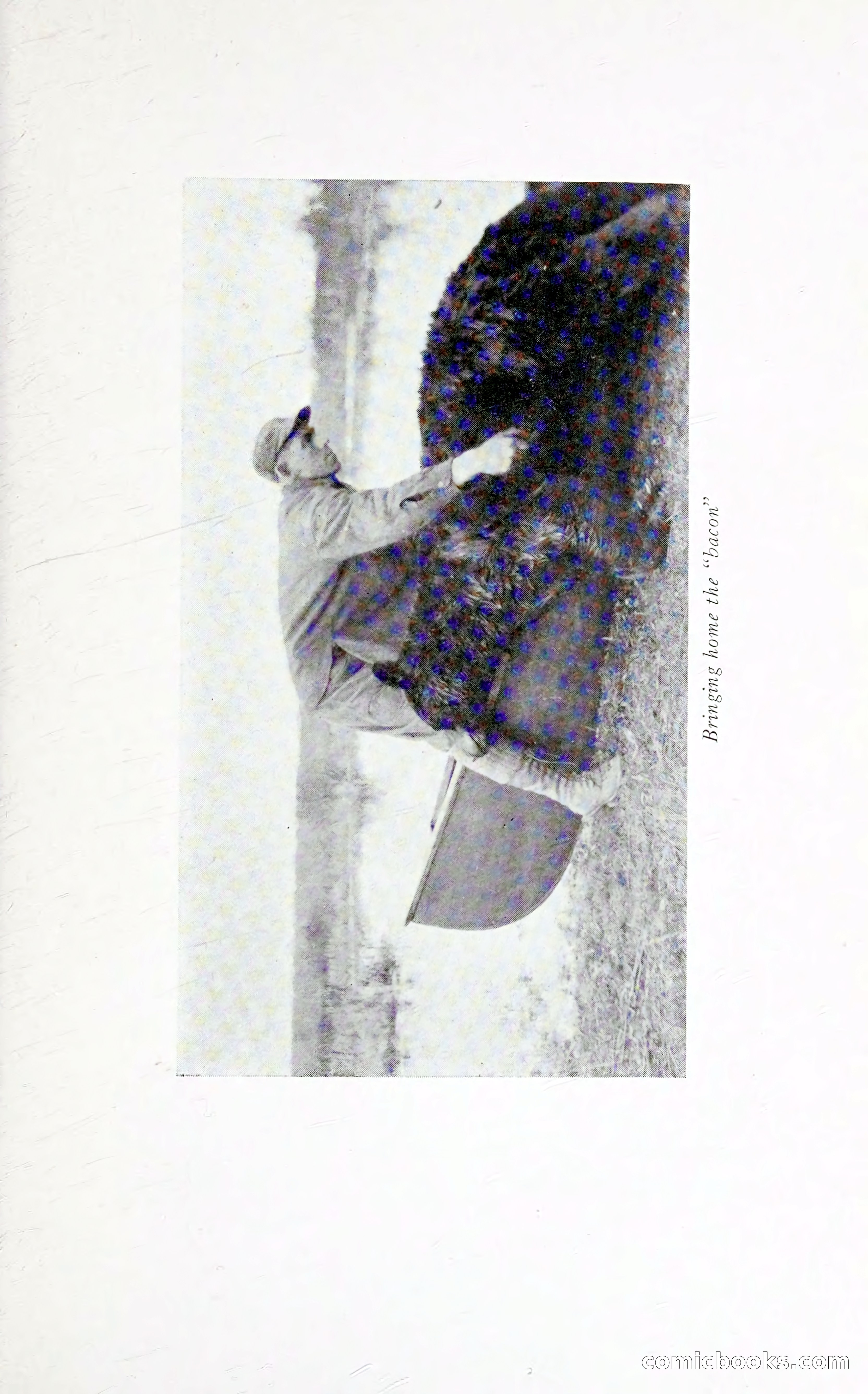 Thrilling Adventures: Guiding, Trapping, Big Game Hunting — page 200 of 287