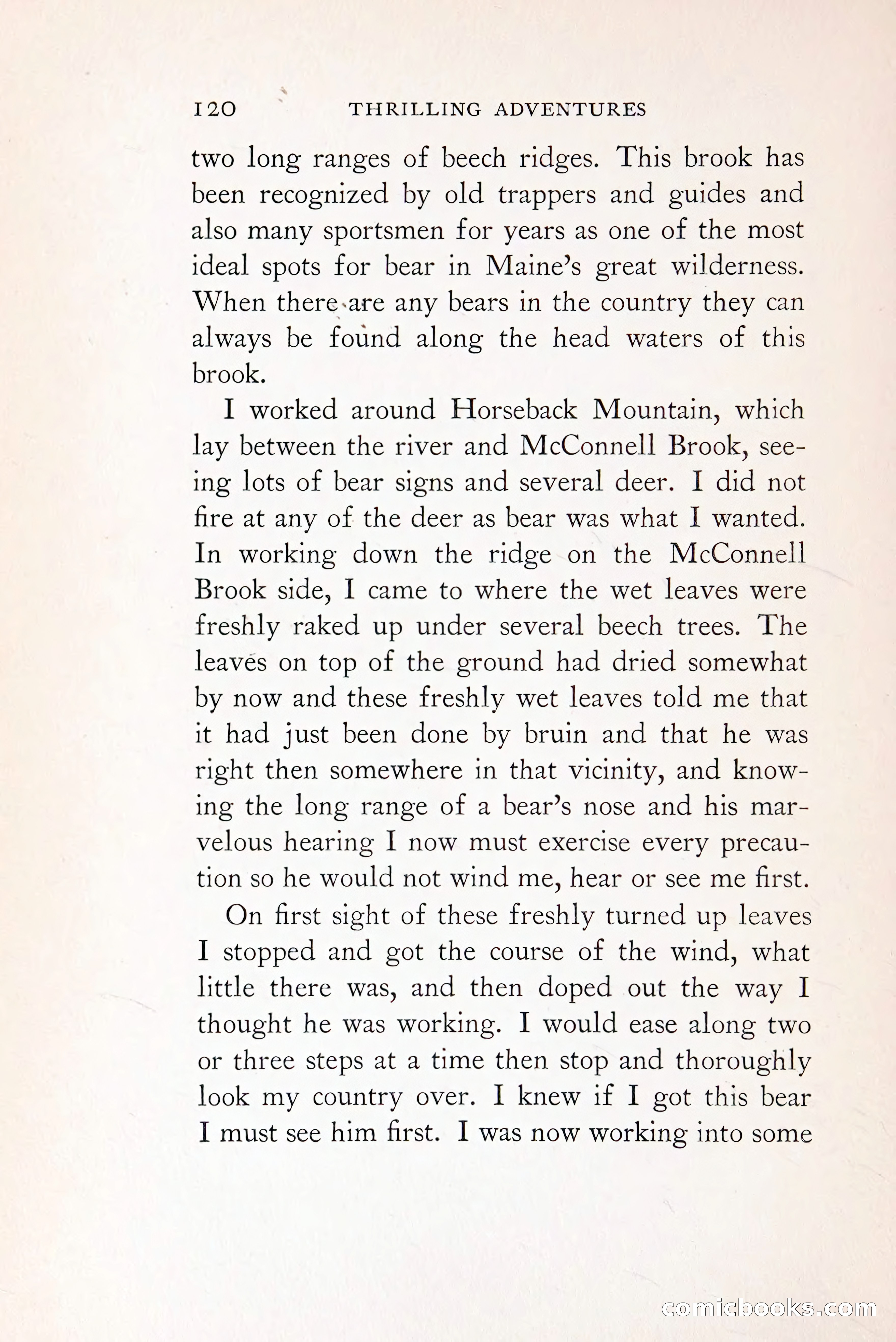 Thrilling Adventures: Guiding, Trapping, Big Game Hunting — page 203 of 287