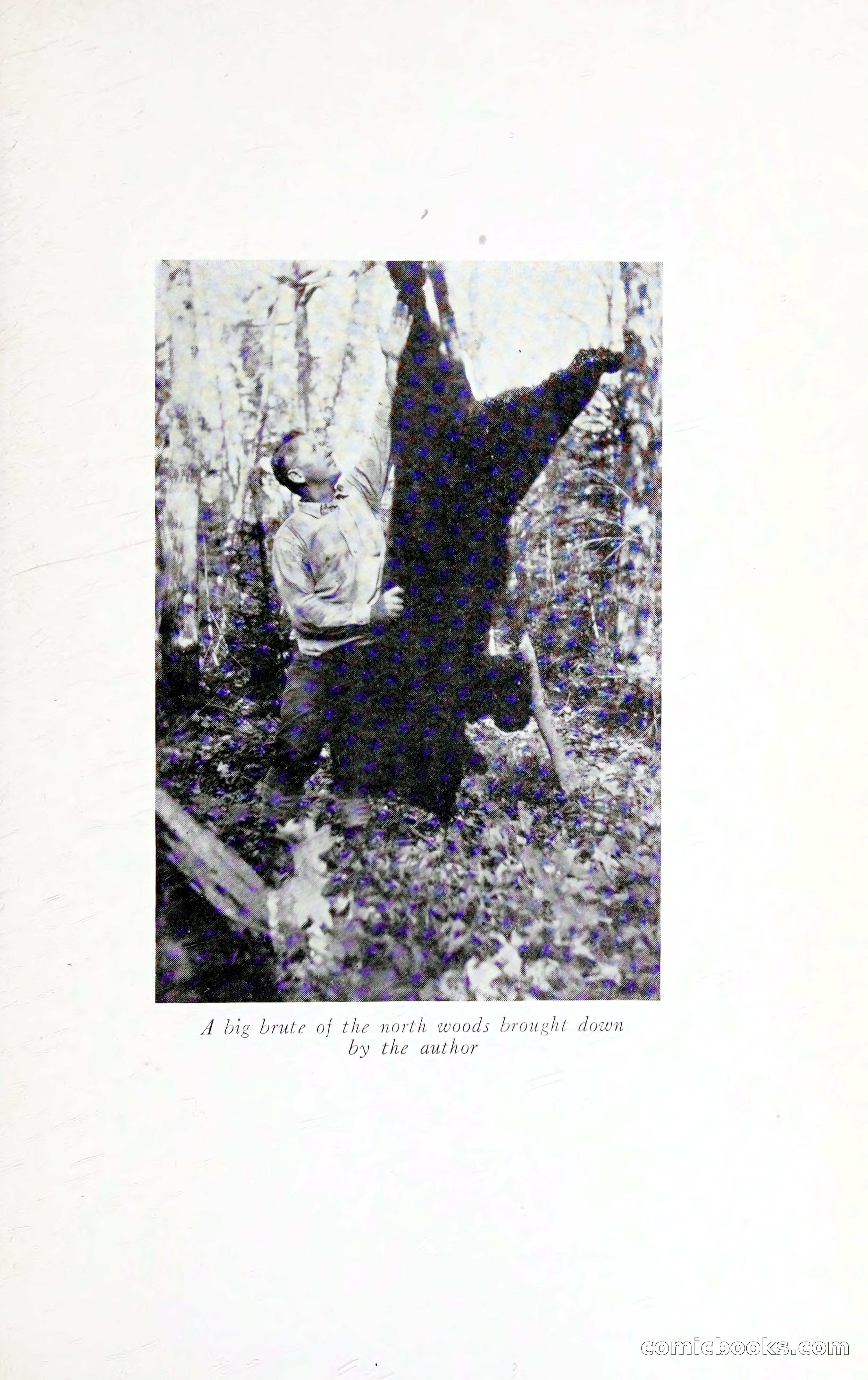 Thrilling Adventures: Guiding, Trapping, Big Game Hunting — page 206 of 287