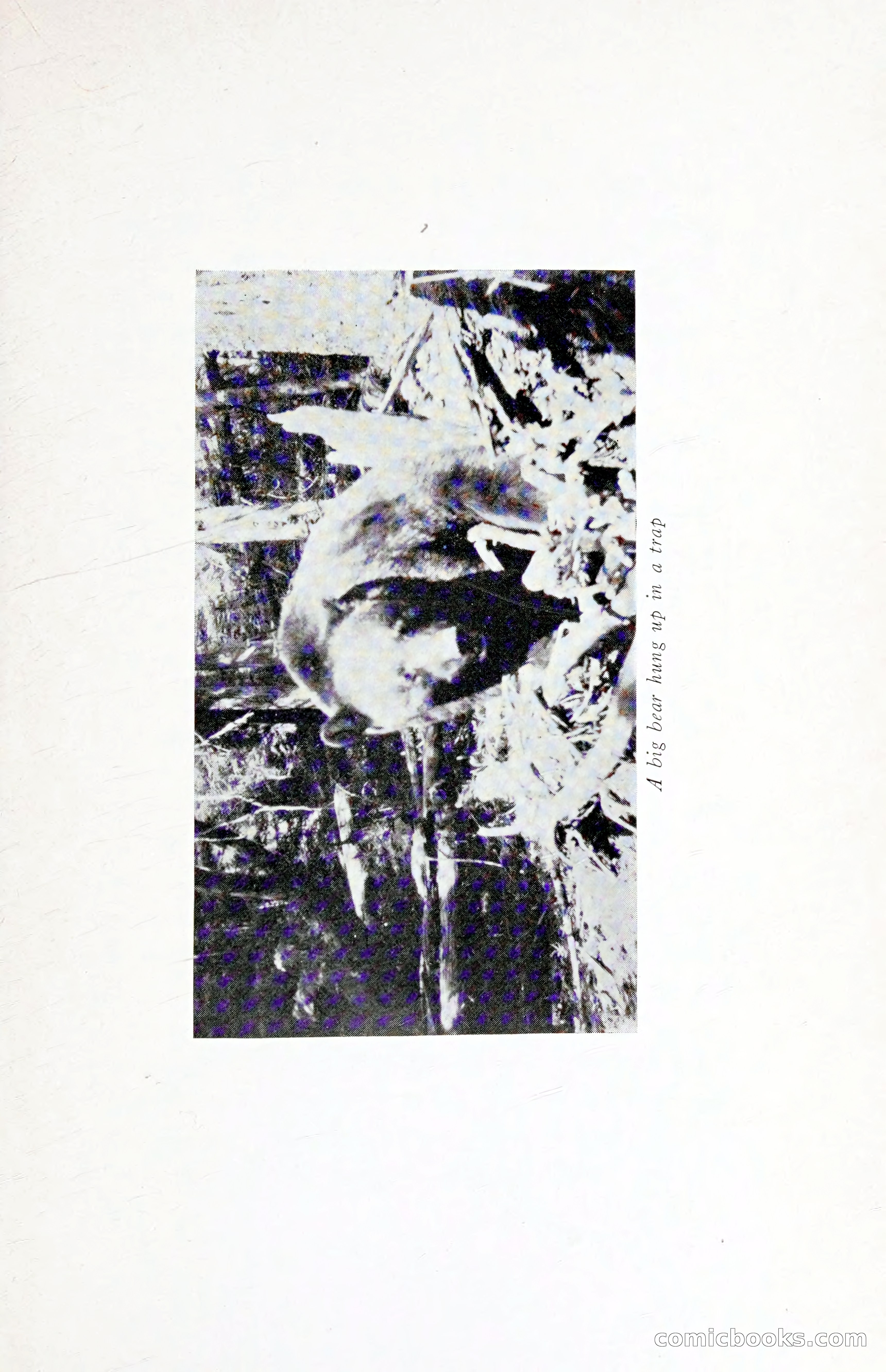 Thrilling Adventures: Guiding, Trapping, Big Game Hunting — page 218 of 287