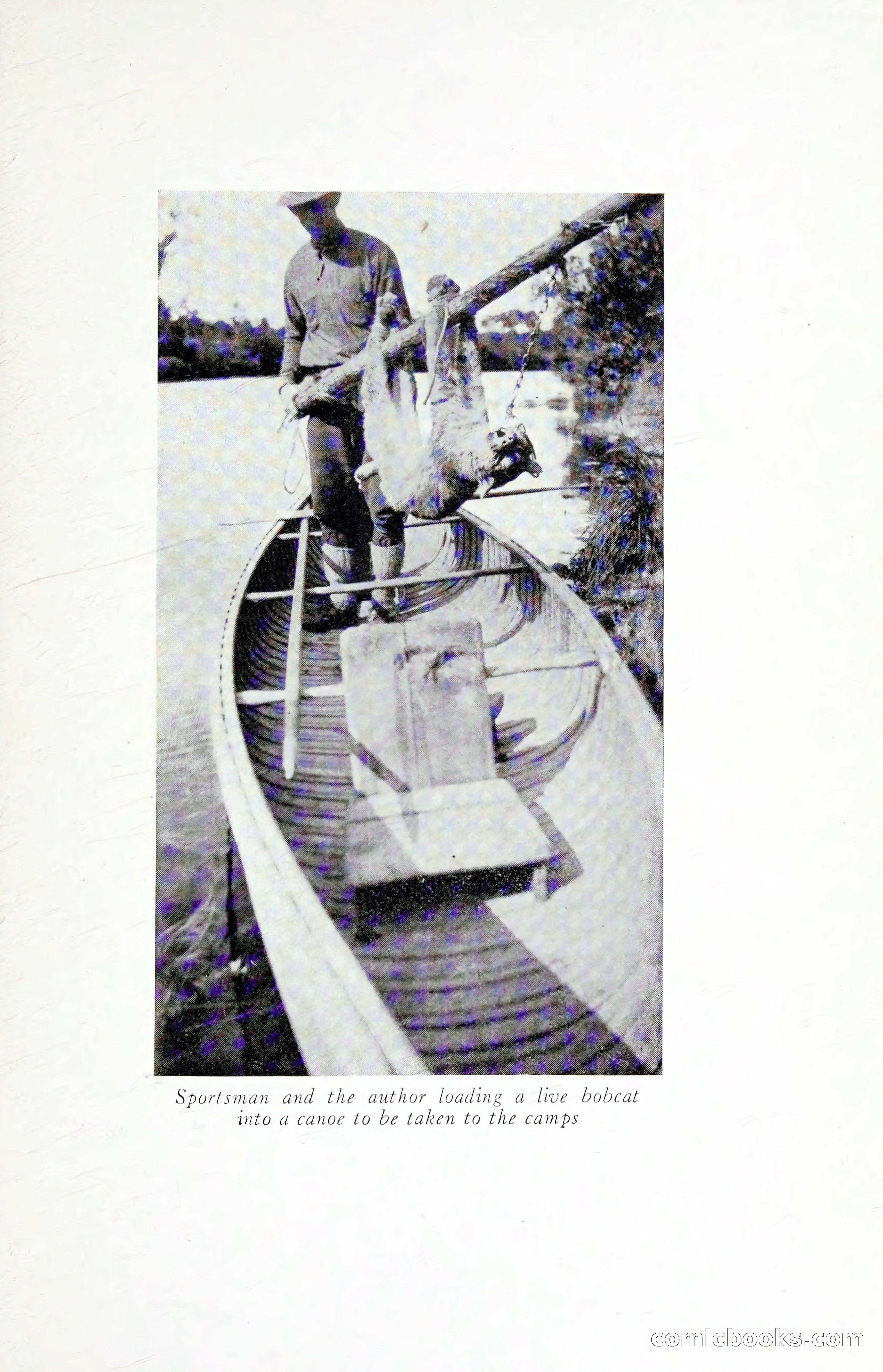 Thrilling Adventures: Guiding, Trapping, Big Game Hunting — page 224 of 287