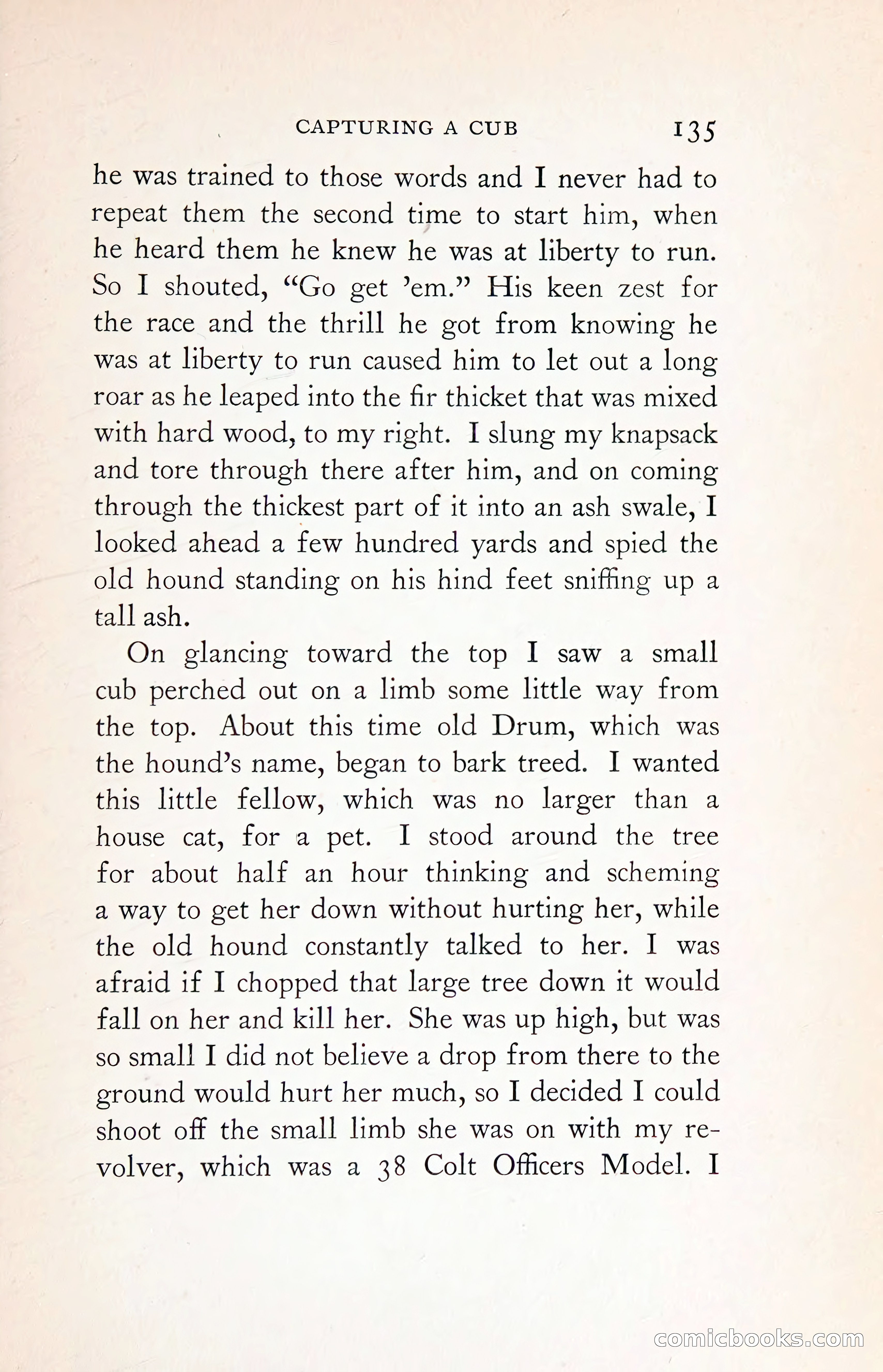 Thrilling Adventures: Guiding, Trapping, Big Game Hunting — page 226 of 287
