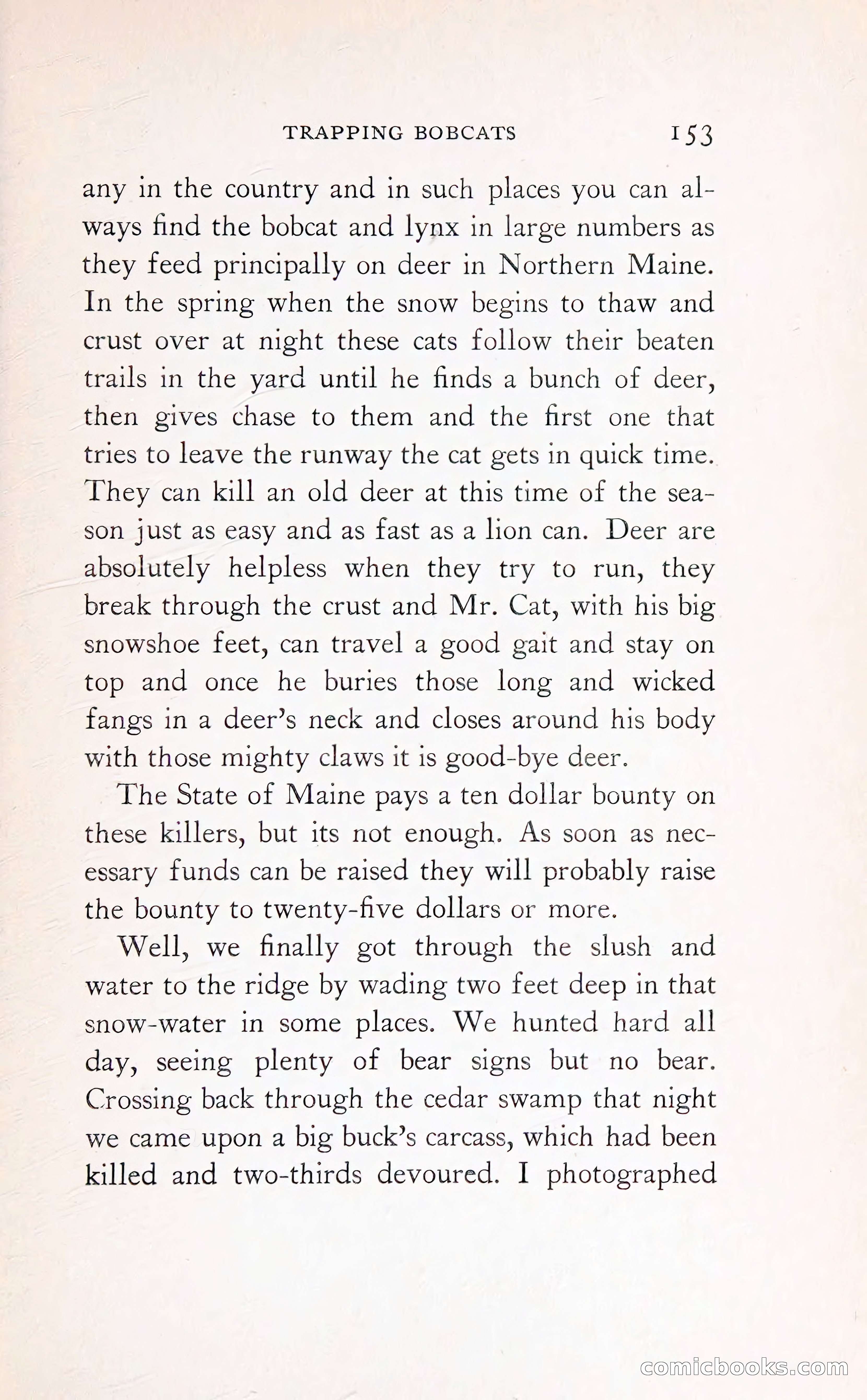 Thrilling Adventures: Guiding, Trapping, Big Game Hunting — page 248 of 287