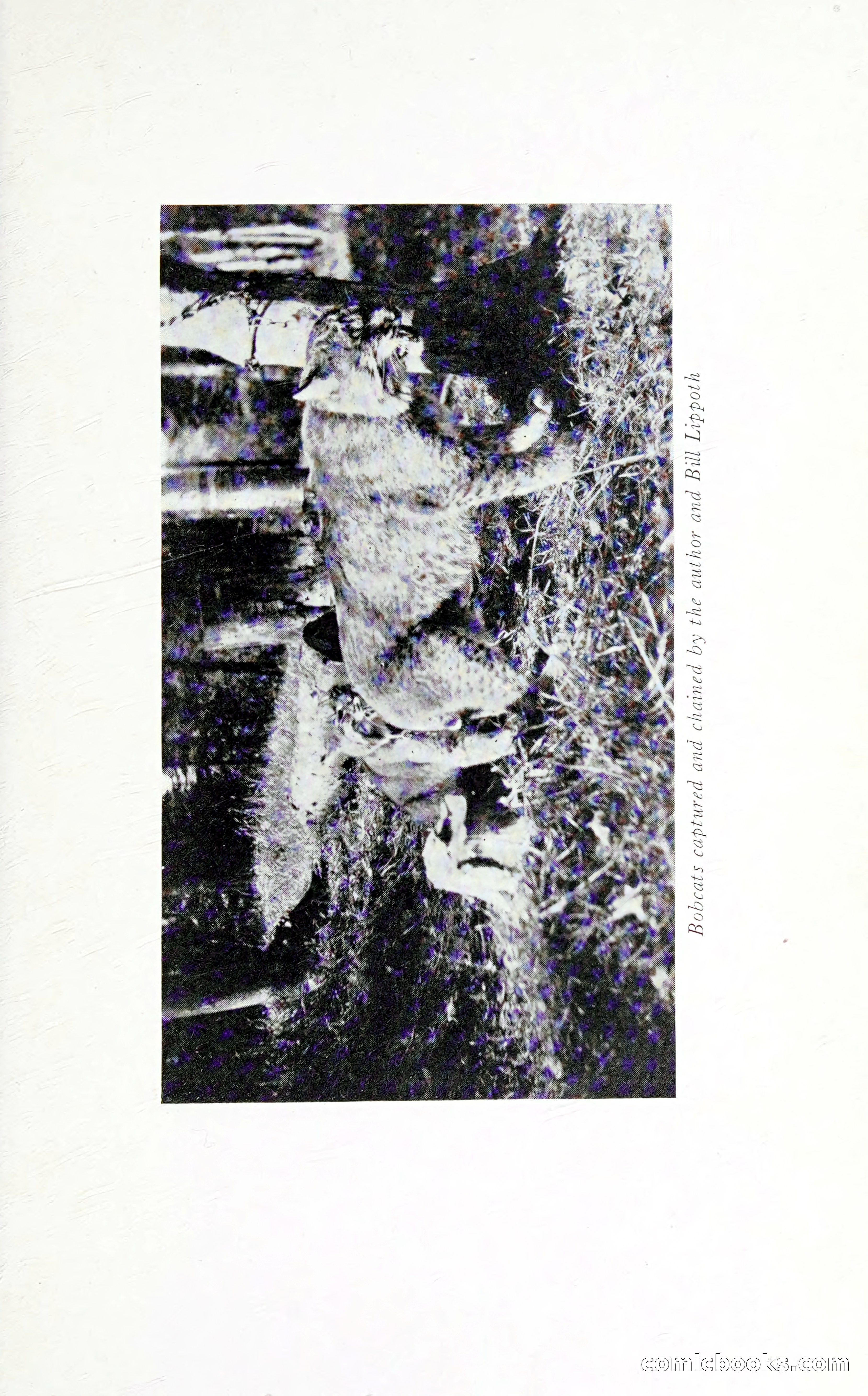 Thrilling Adventures: Guiding, Trapping, Big Game Hunting — page 256 of 287