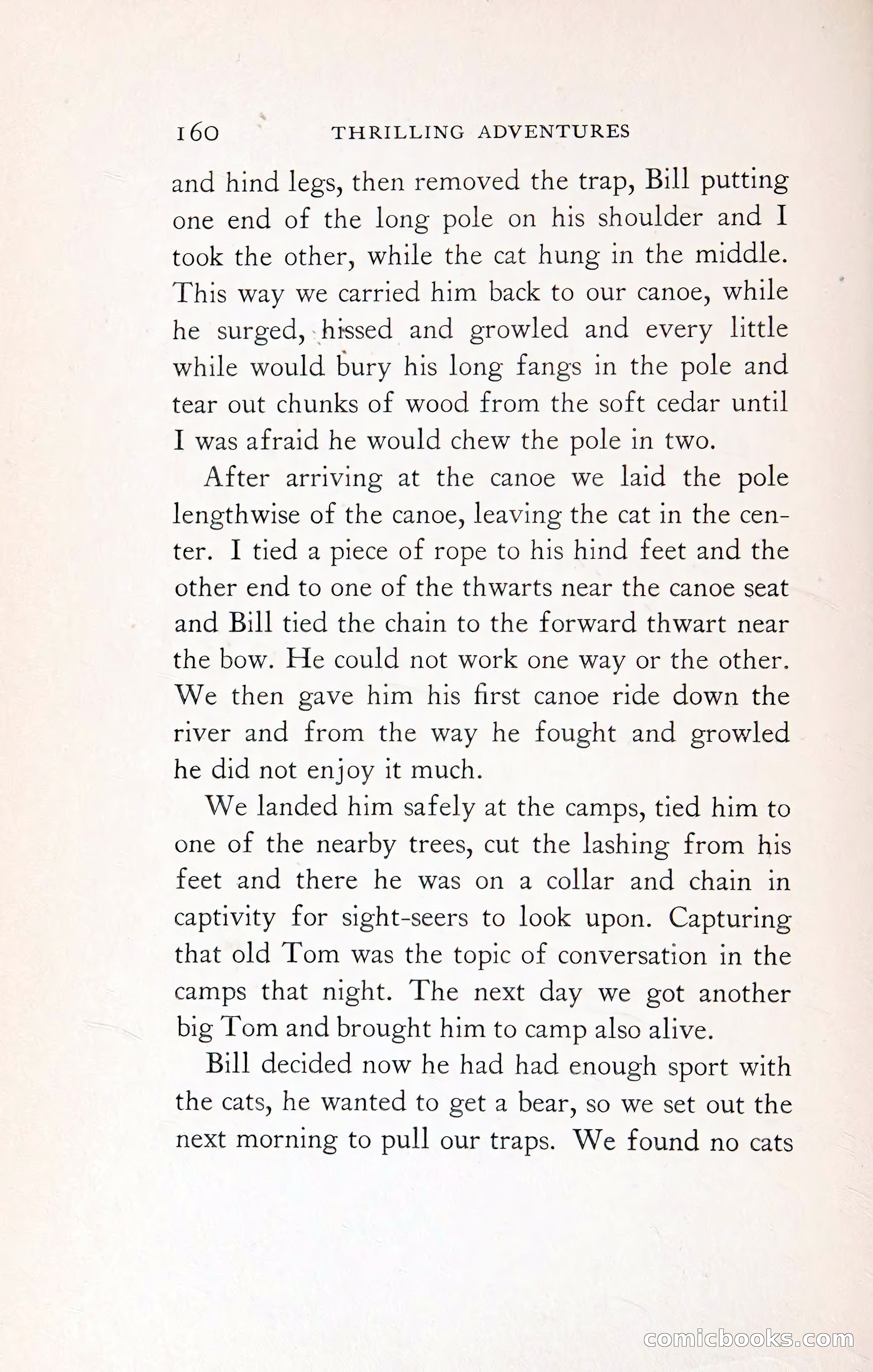 Thrilling Adventures: Guiding, Trapping, Big Game Hunting — page 259 of 287