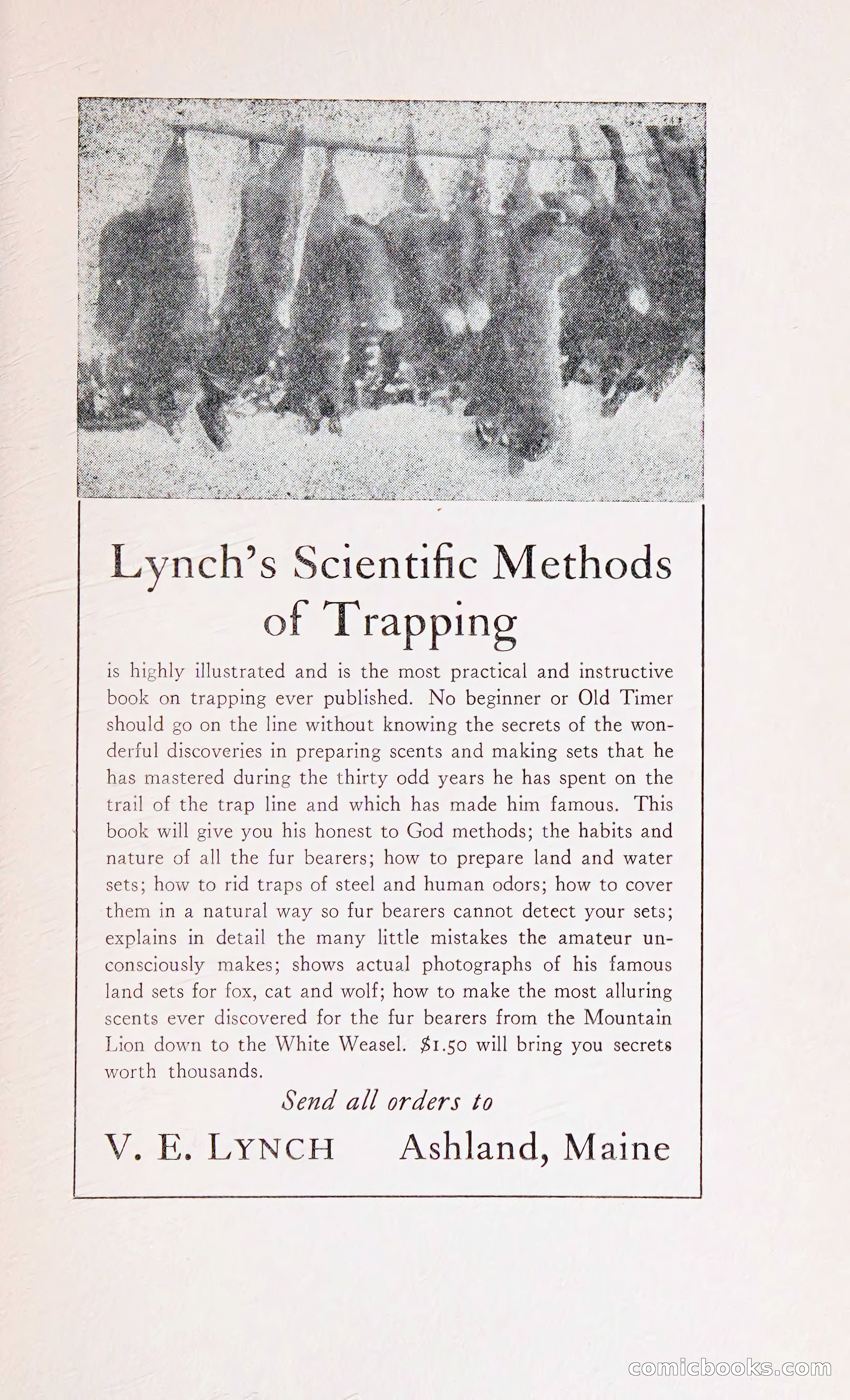 Thrilling Adventures: Guiding, Trapping, Big Game Hunting — page 280 of 287