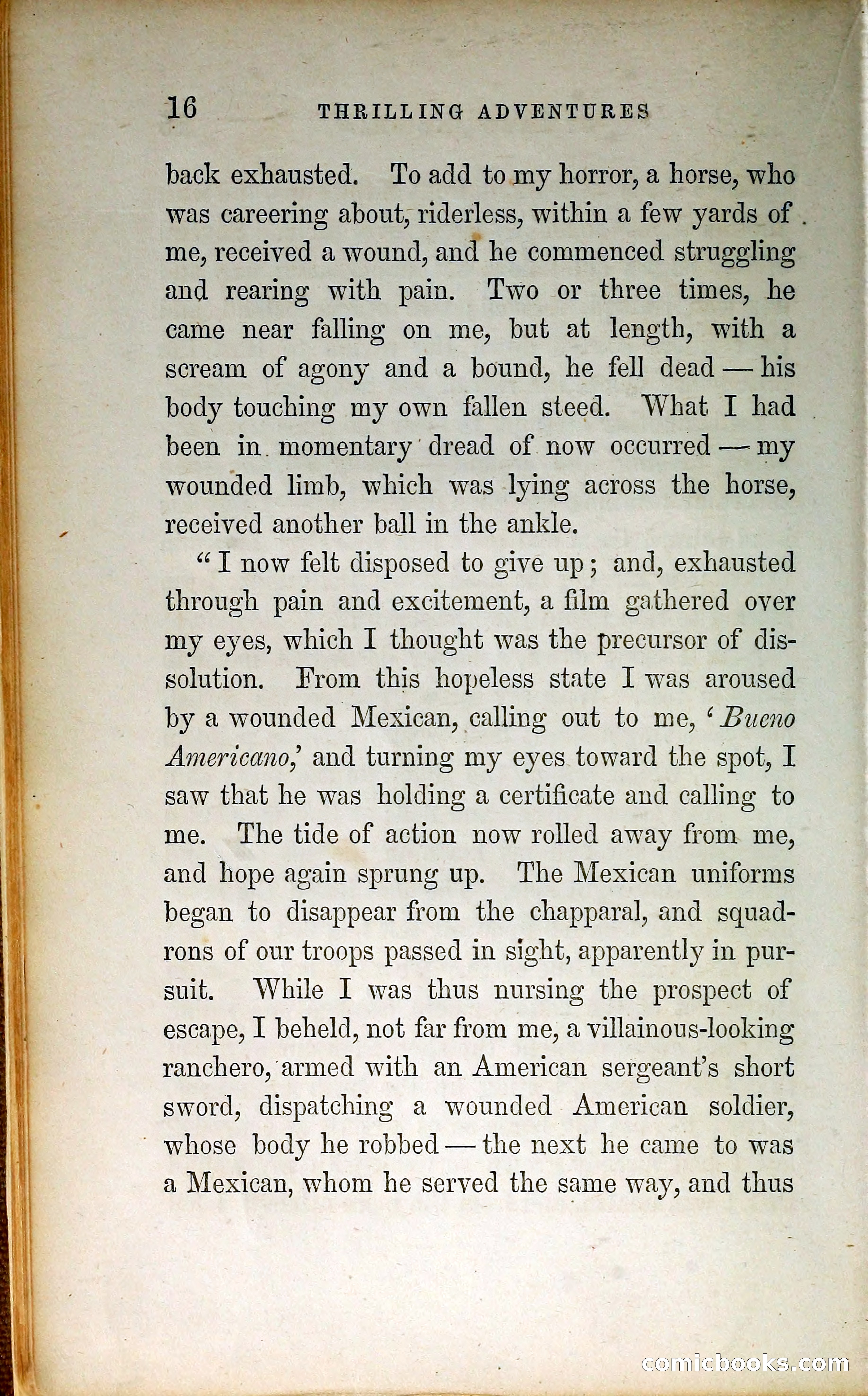 Thrilling Adventures by Land and Sea — page 25 of 399