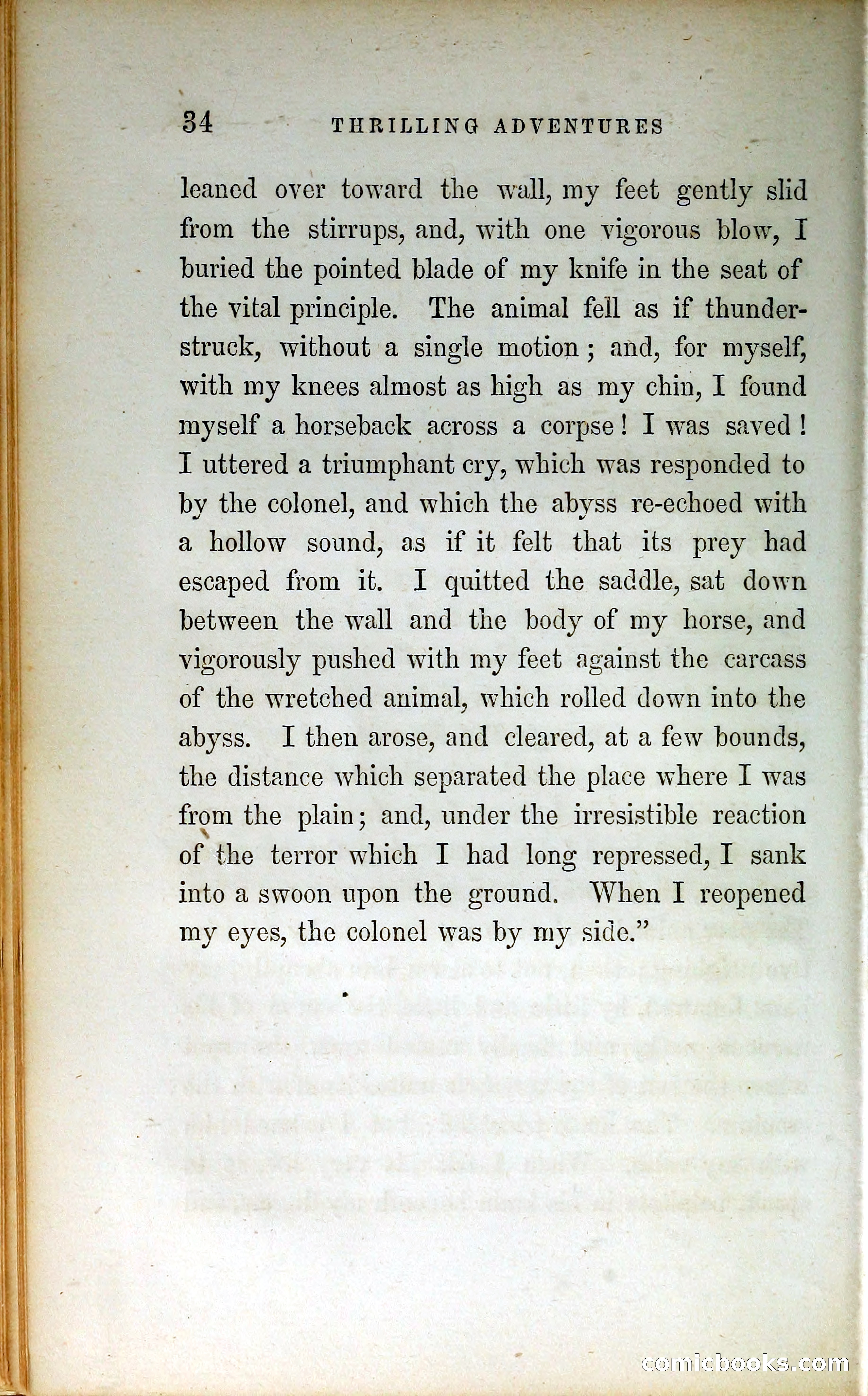 Thrilling Adventures by Land and Sea — page 43 of 399
