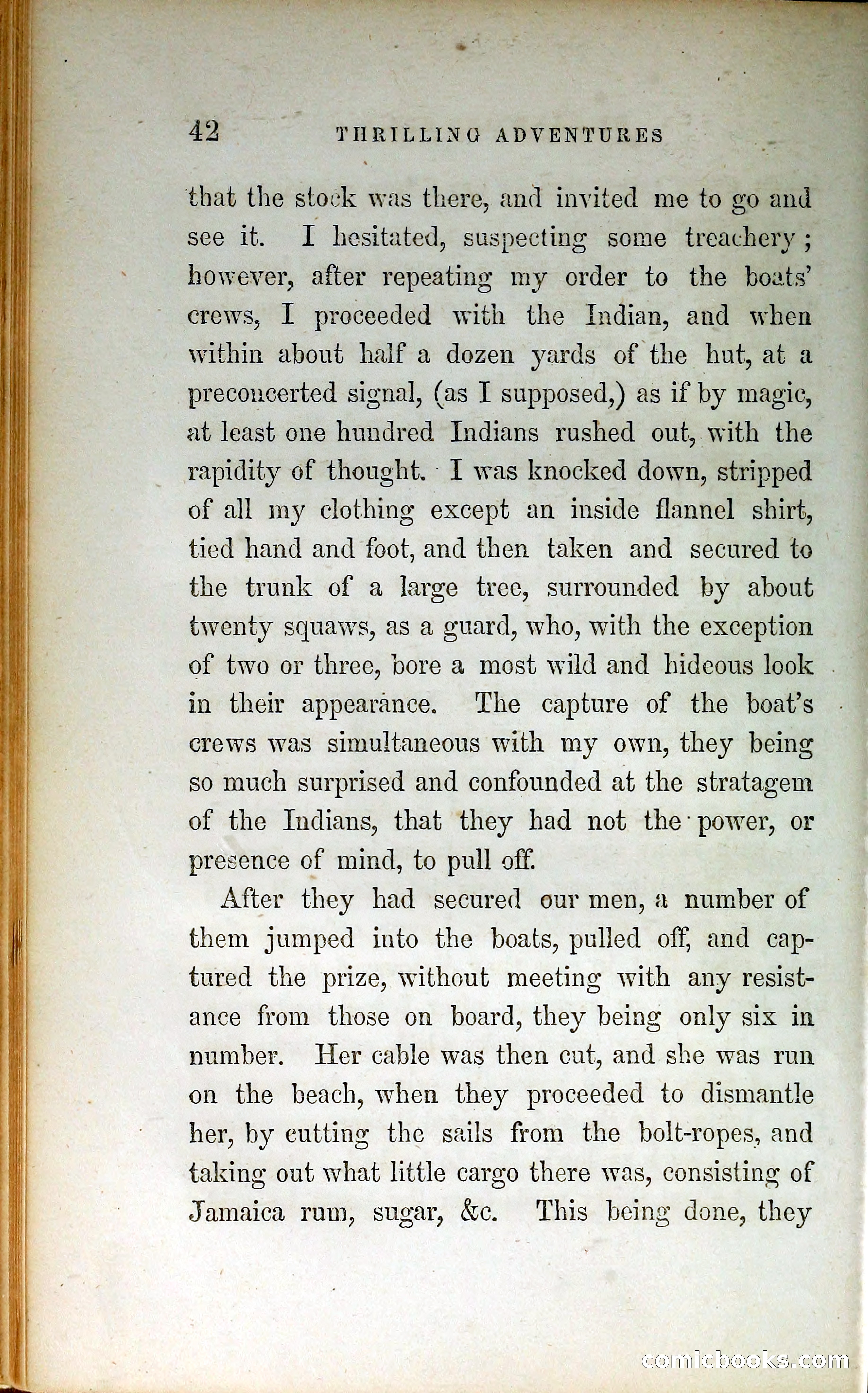 Thrilling Adventures by Land and Sea — page 51 of 399