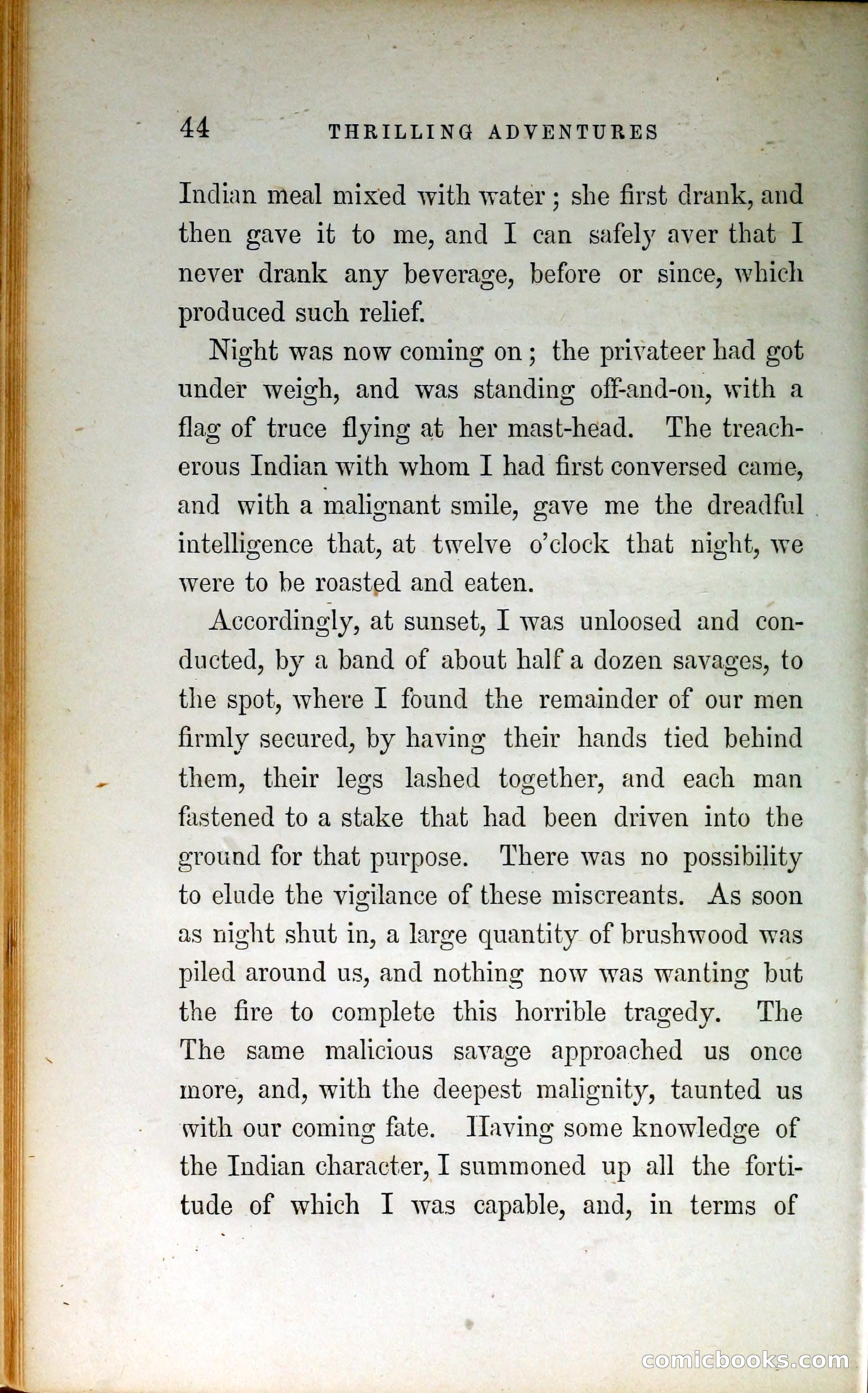 Thrilling Adventures by Land and Sea — page 53 of 399
