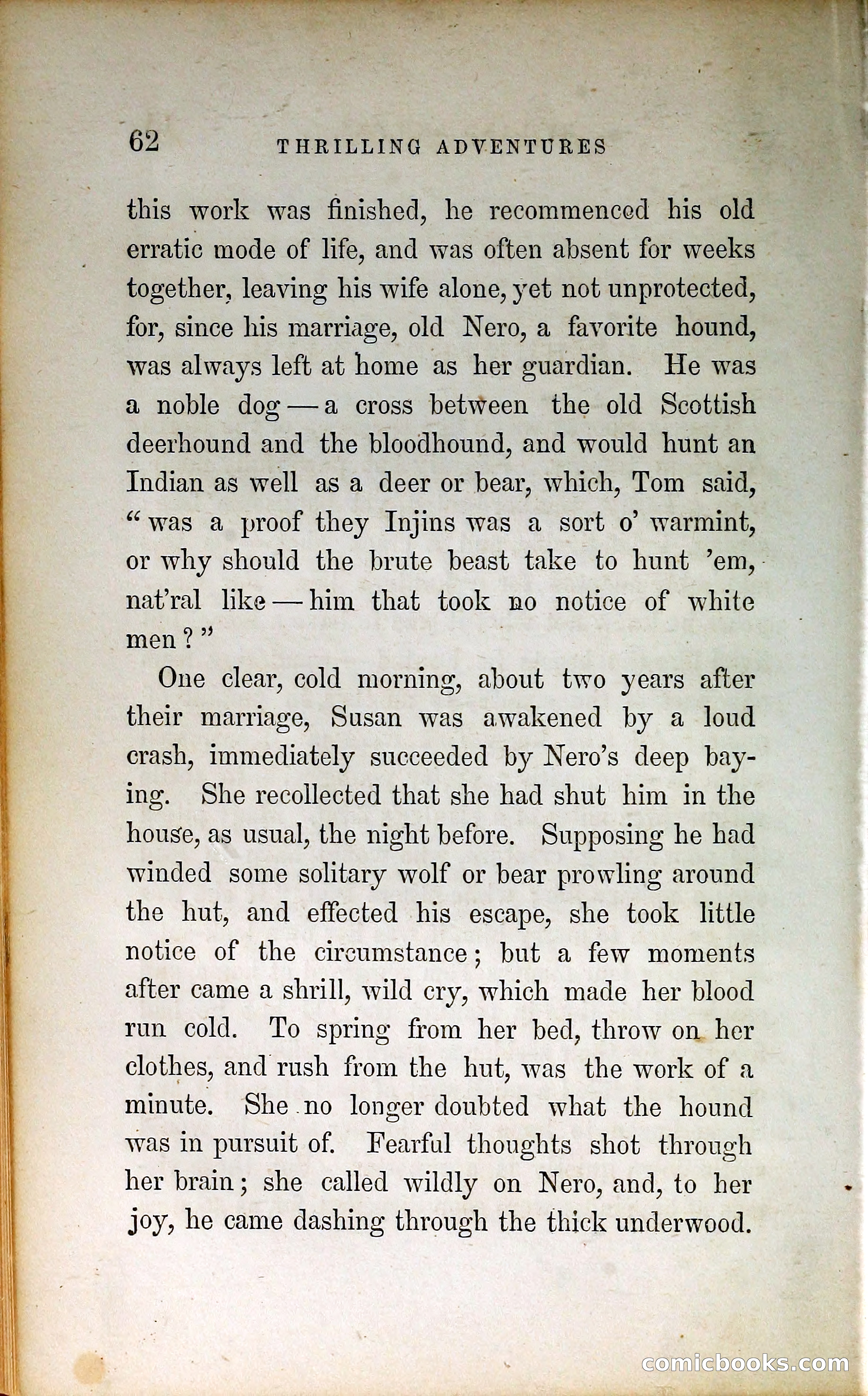 Thrilling Adventures by Land and Sea — page 71 of 399