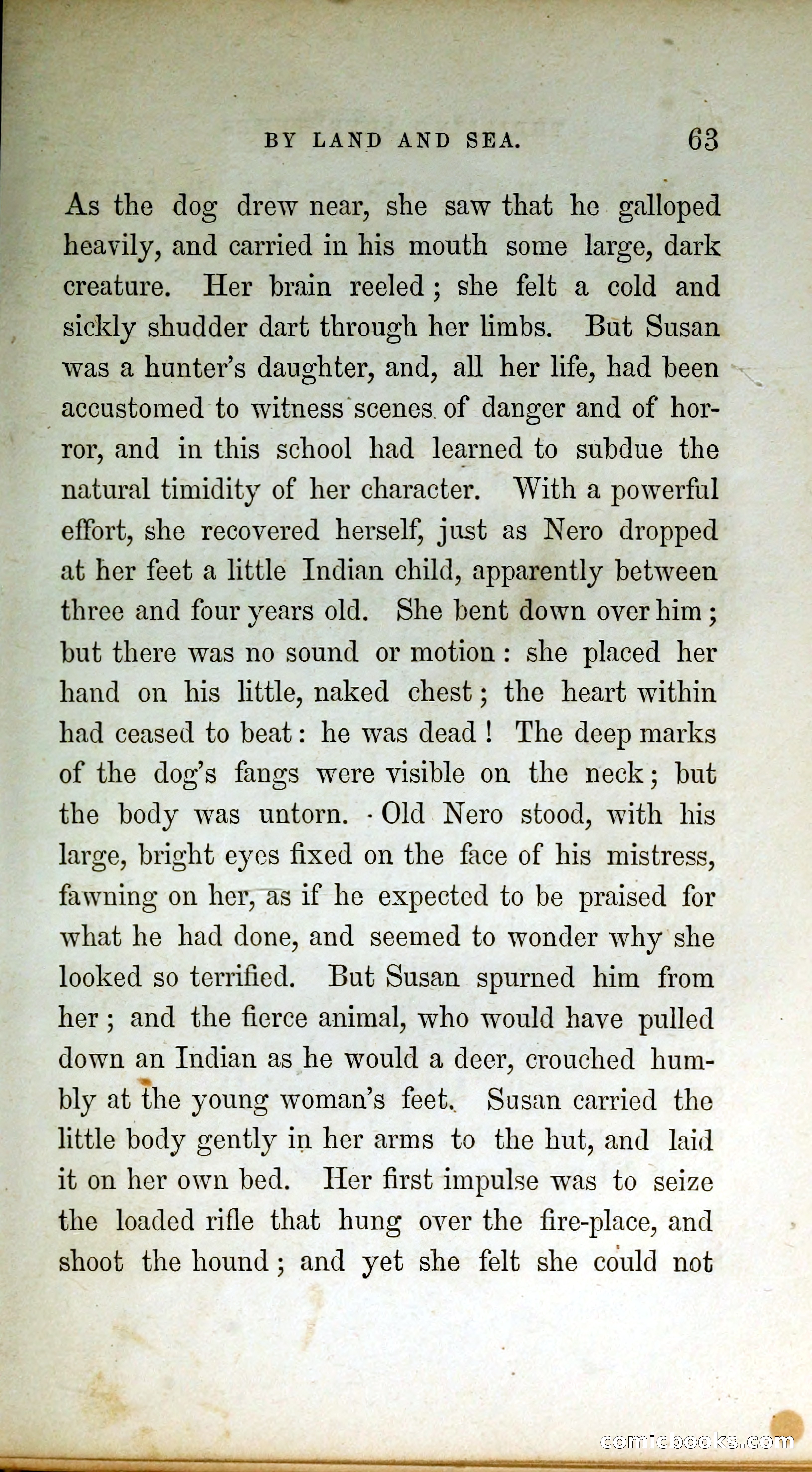 Thrilling Adventures by Land and Sea — page 72 of 399