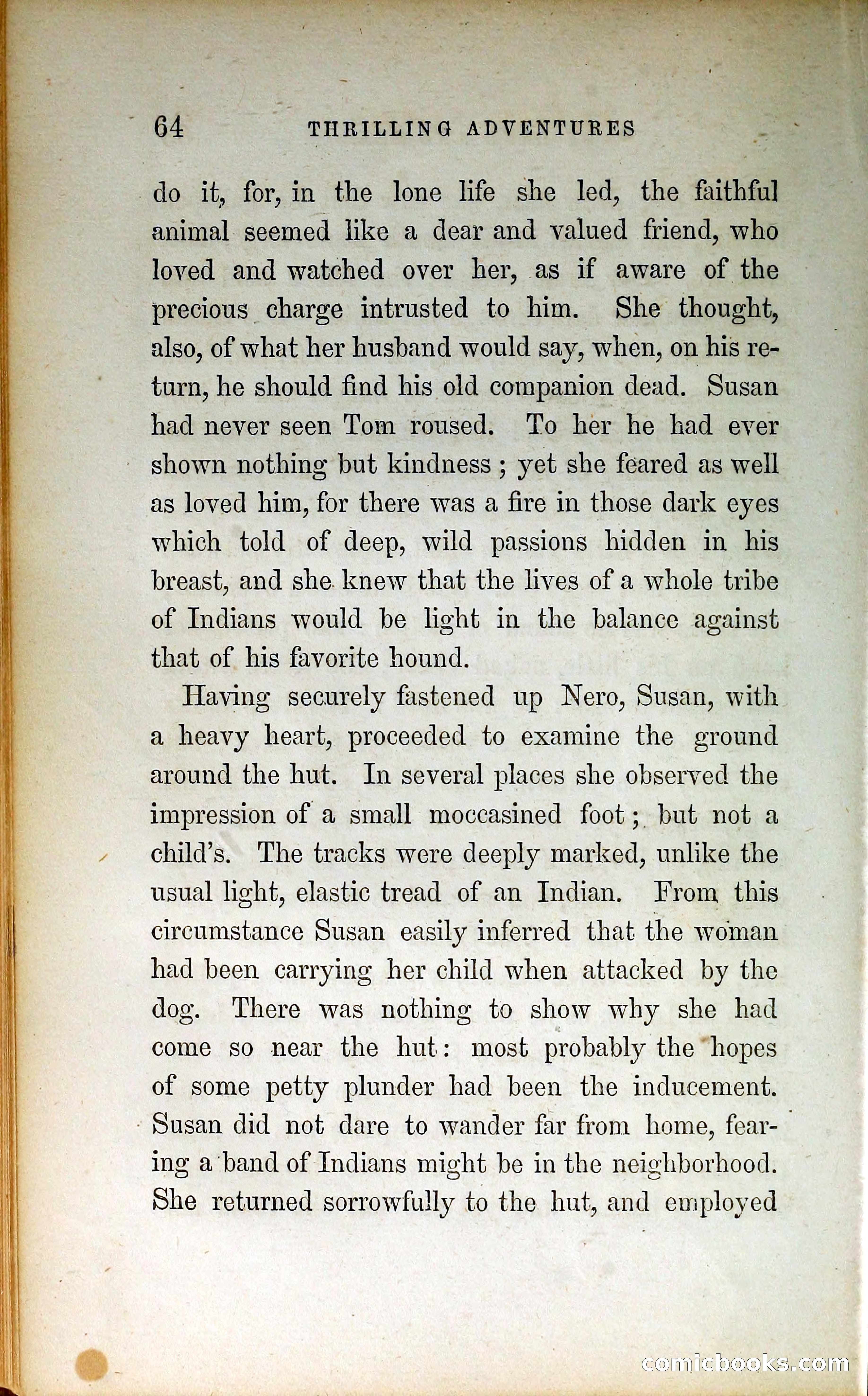 Thrilling Adventures by Land and Sea — page 73 of 399