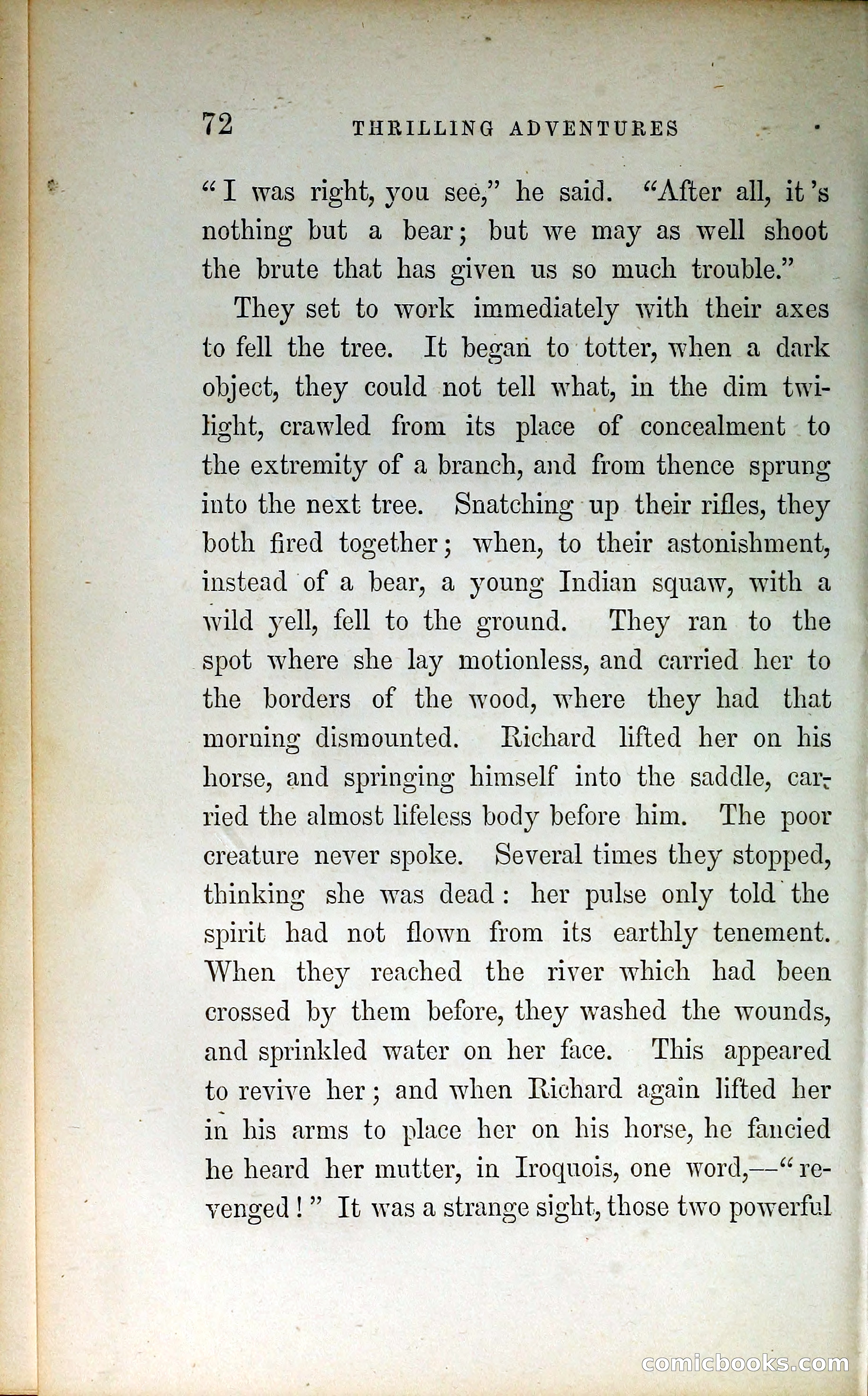Thrilling Adventures by Land and Sea — page 81 of 399
