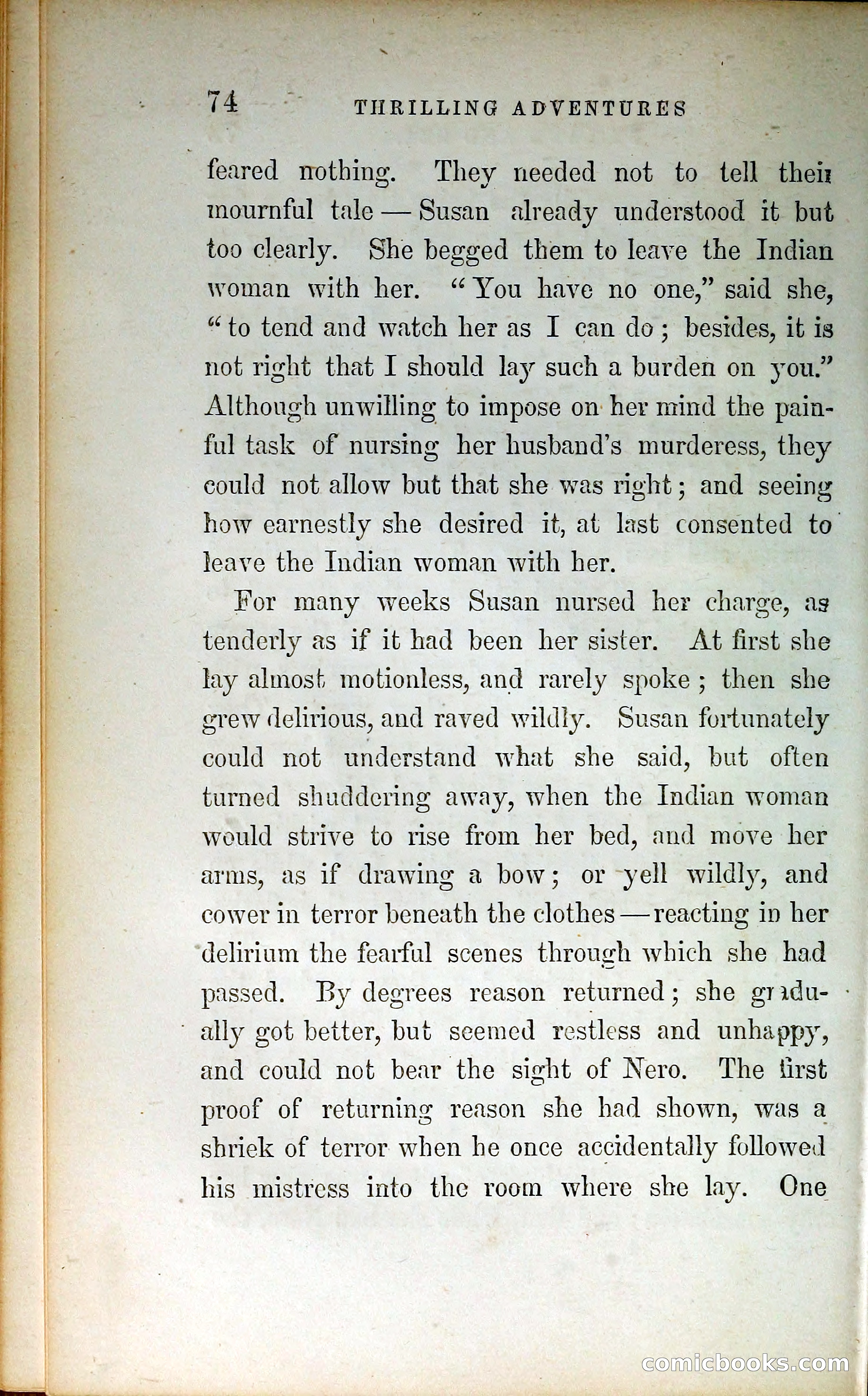 Thrilling Adventures by Land and Sea — page 83 of 399