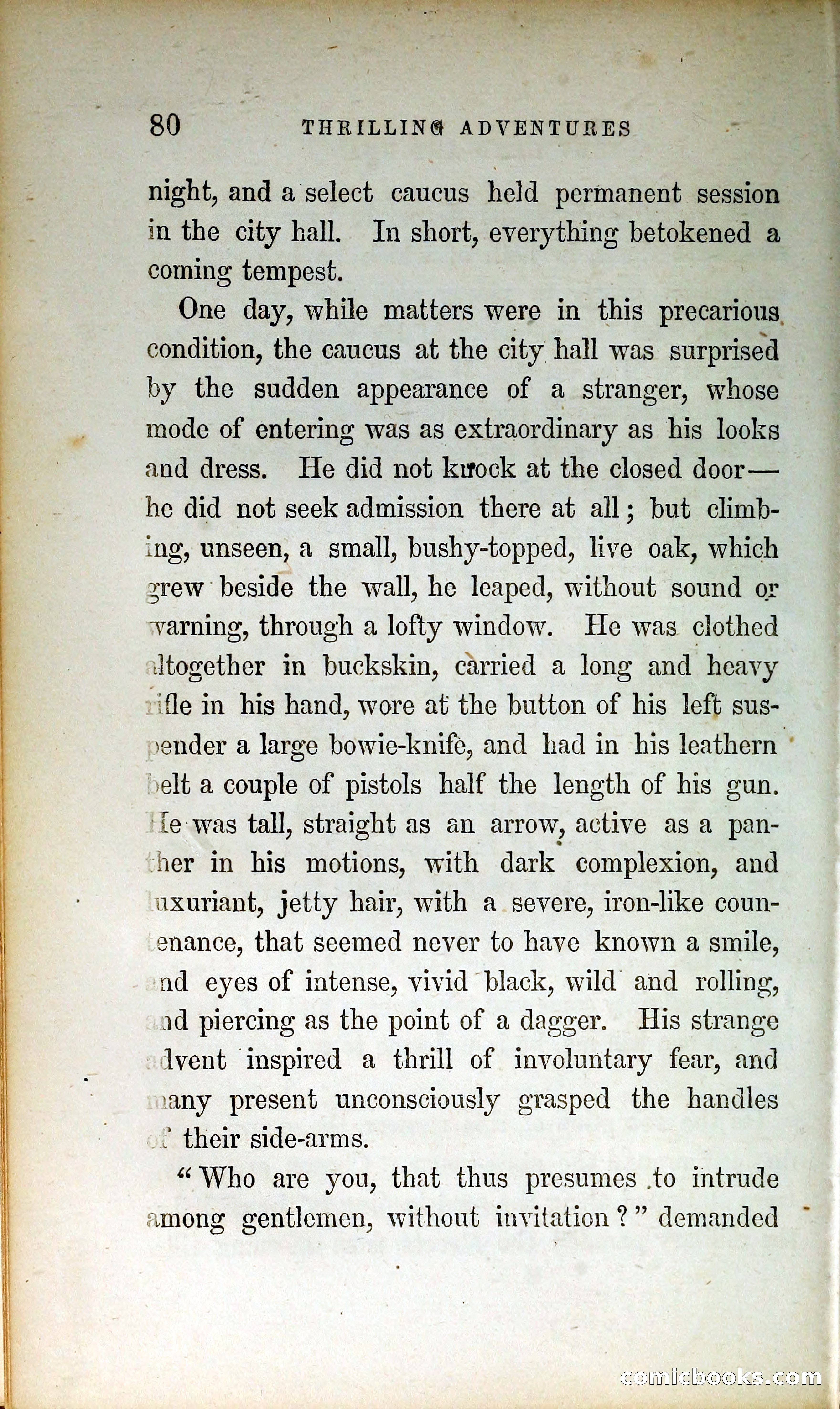 Thrilling Adventures by Land and Sea — page 89 of 399