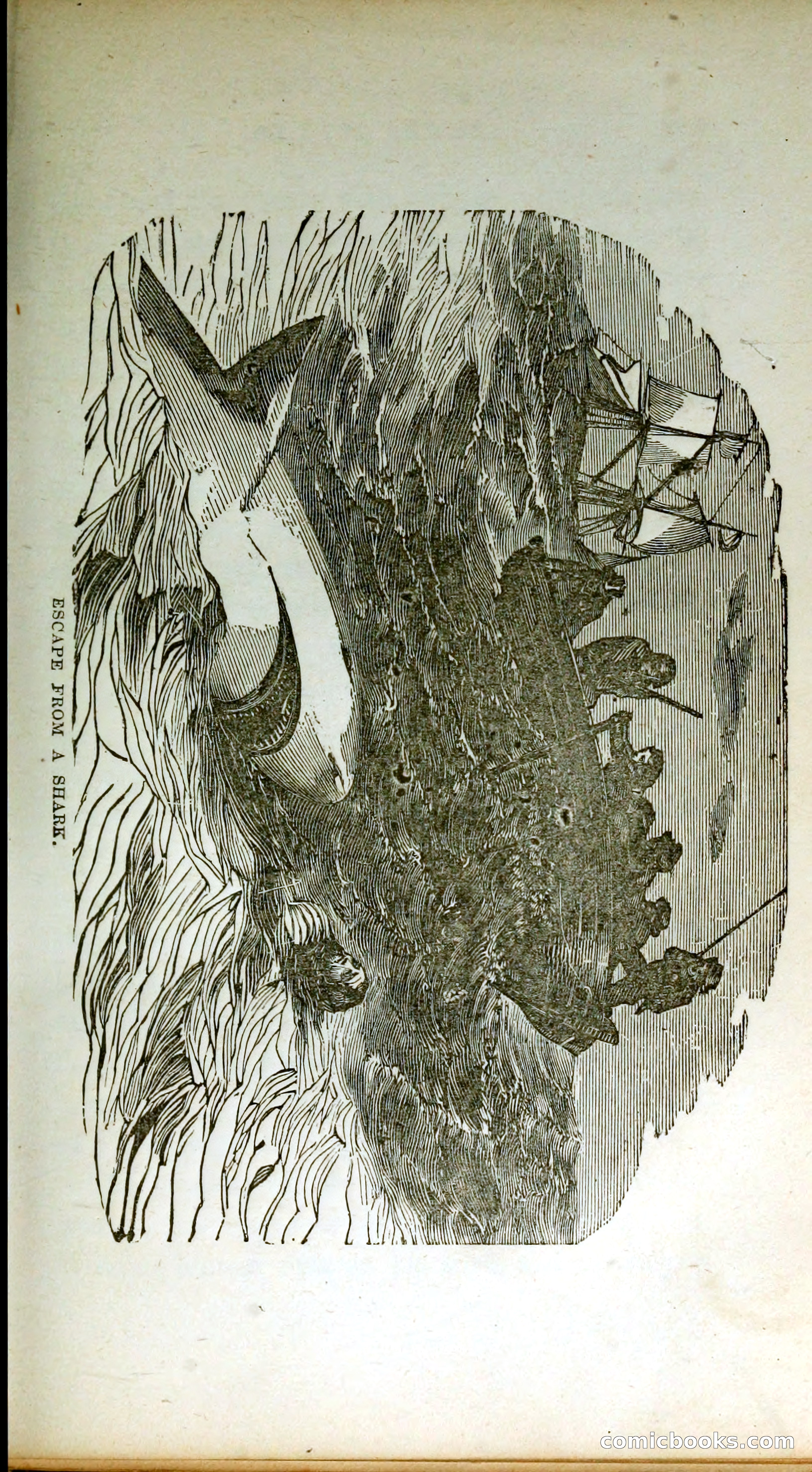 Thrilling Adventures by Land and Sea — page 100 of 399