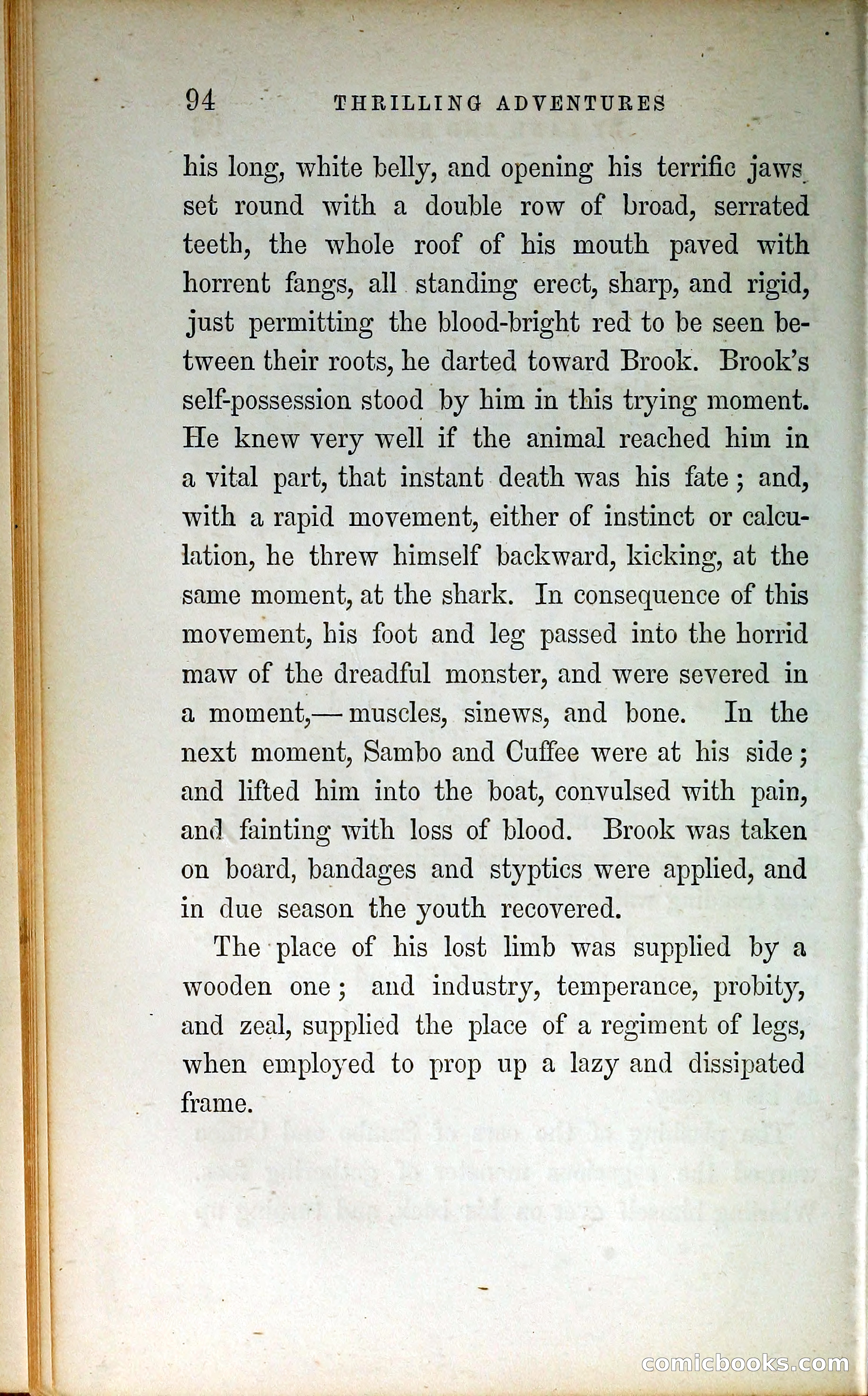 Thrilling Adventures by Land and Sea — page 103 of 399