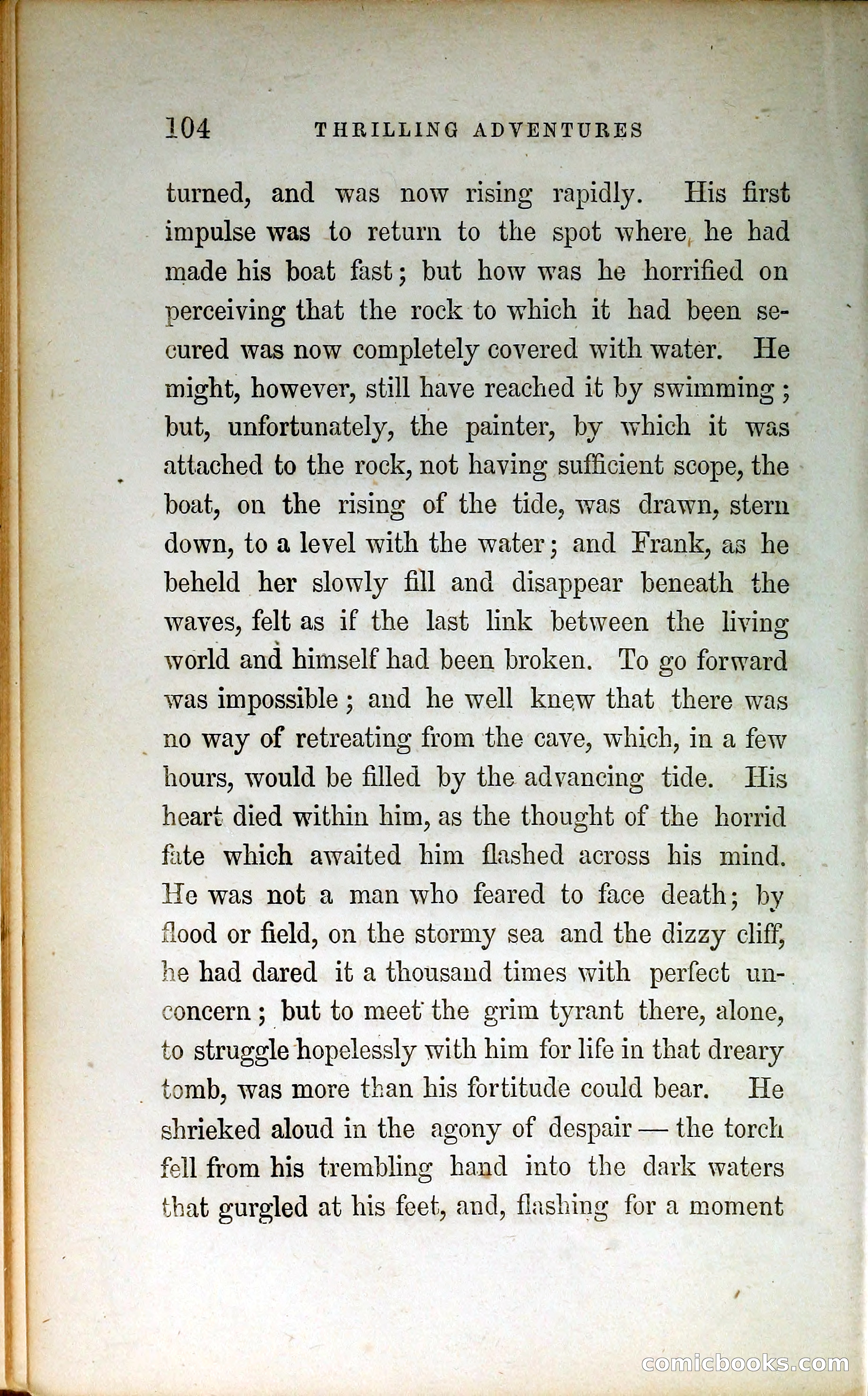 Thrilling Adventures by Land and Sea — page 113 of 399