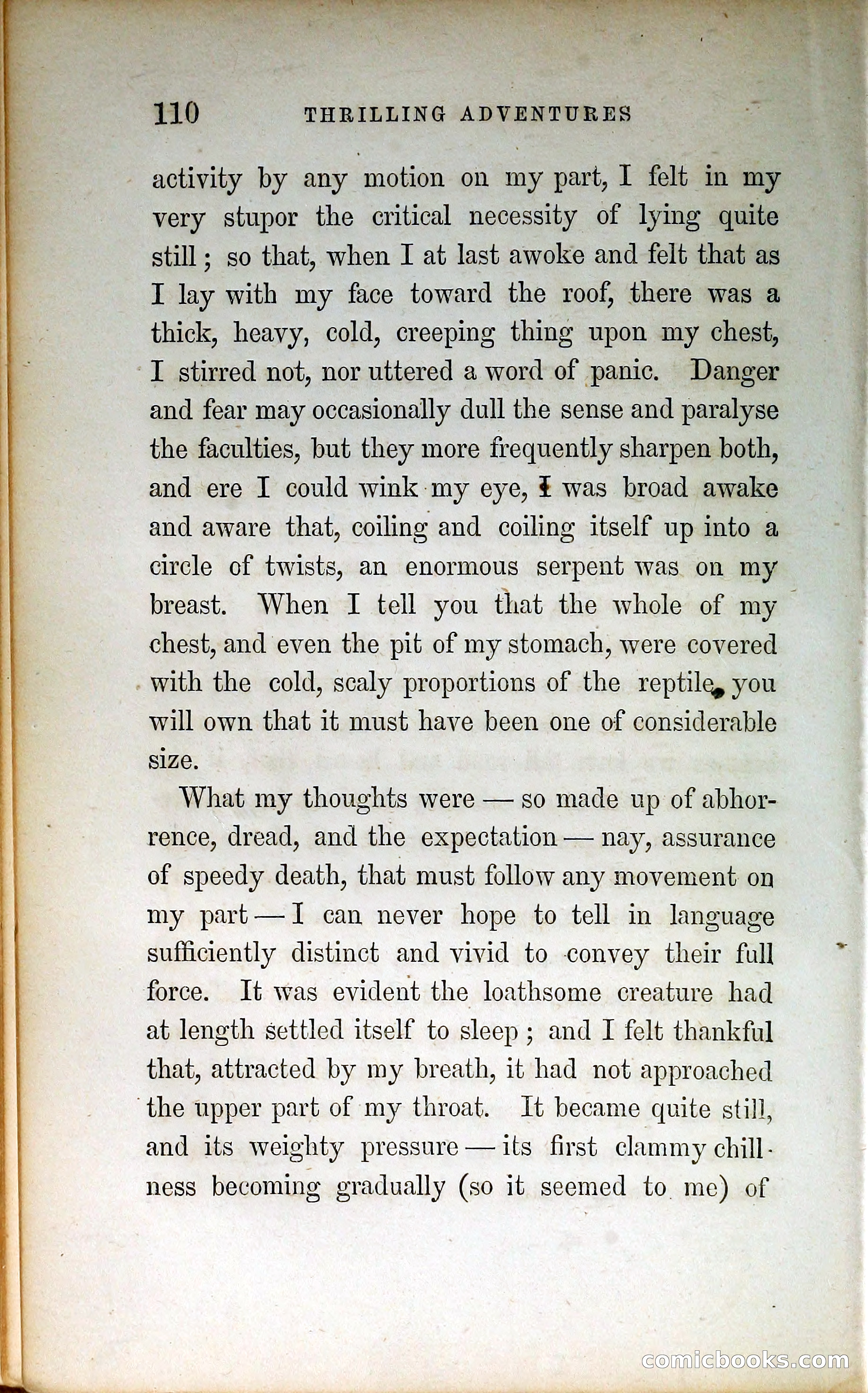 Thrilling Adventures by Land and Sea — page 119 of 399