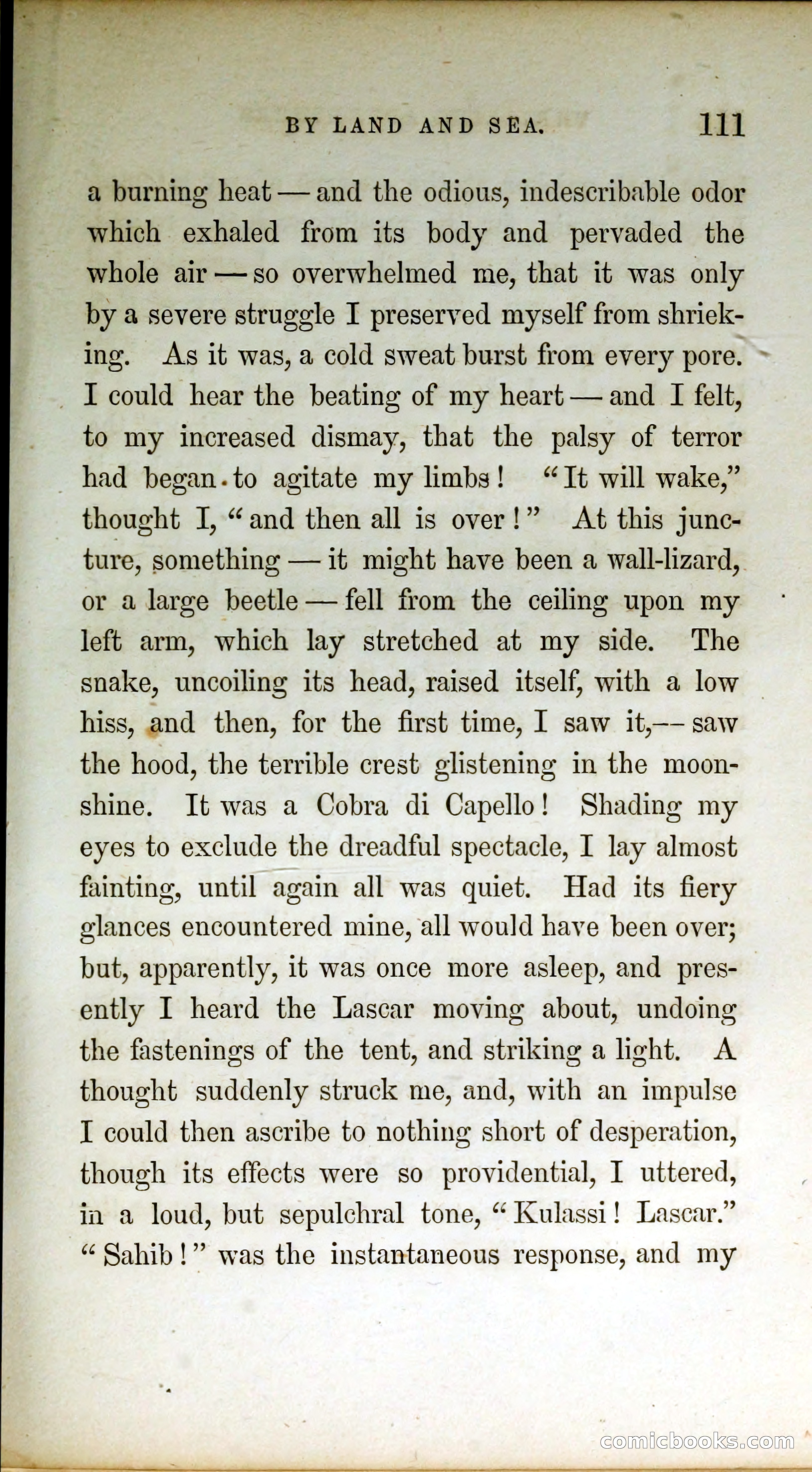 Thrilling Adventures by Land and Sea — page 120 of 399
