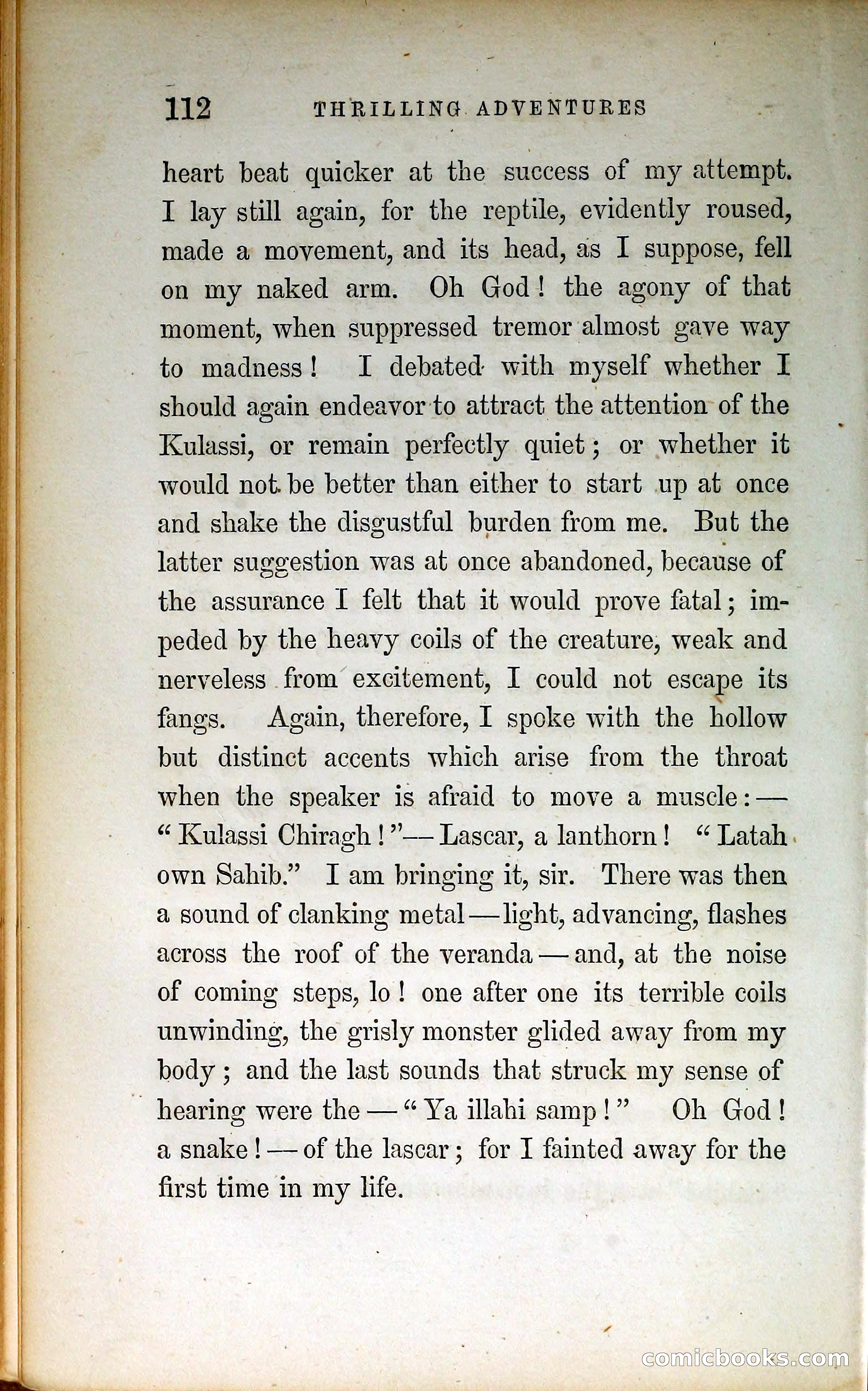 Thrilling Adventures by Land and Sea — page 121 of 399